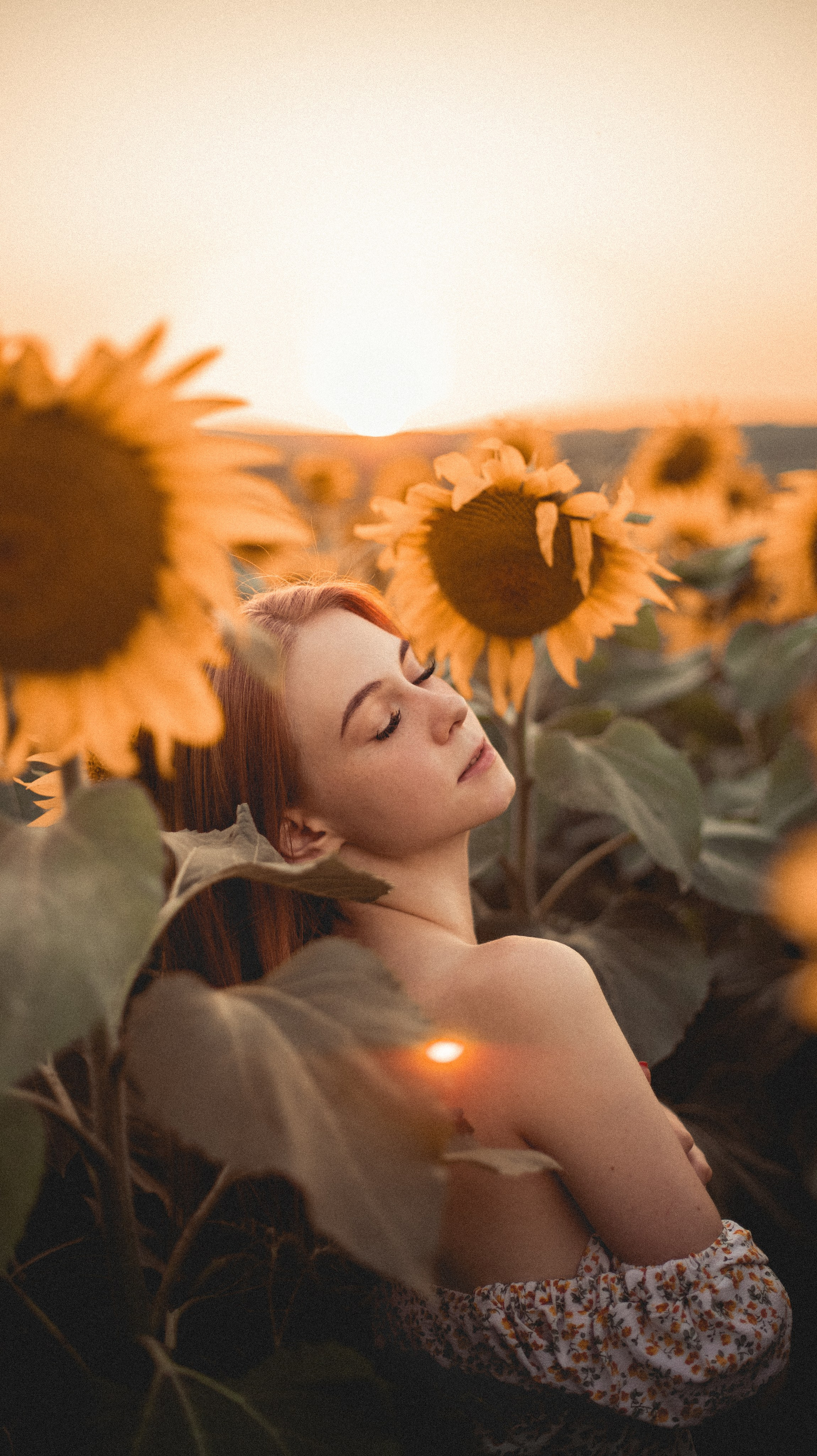 Огненные подсолнечники. Фотограф. Пейзажи, макро, портреты. Город Енакиево, без границ в съёмке