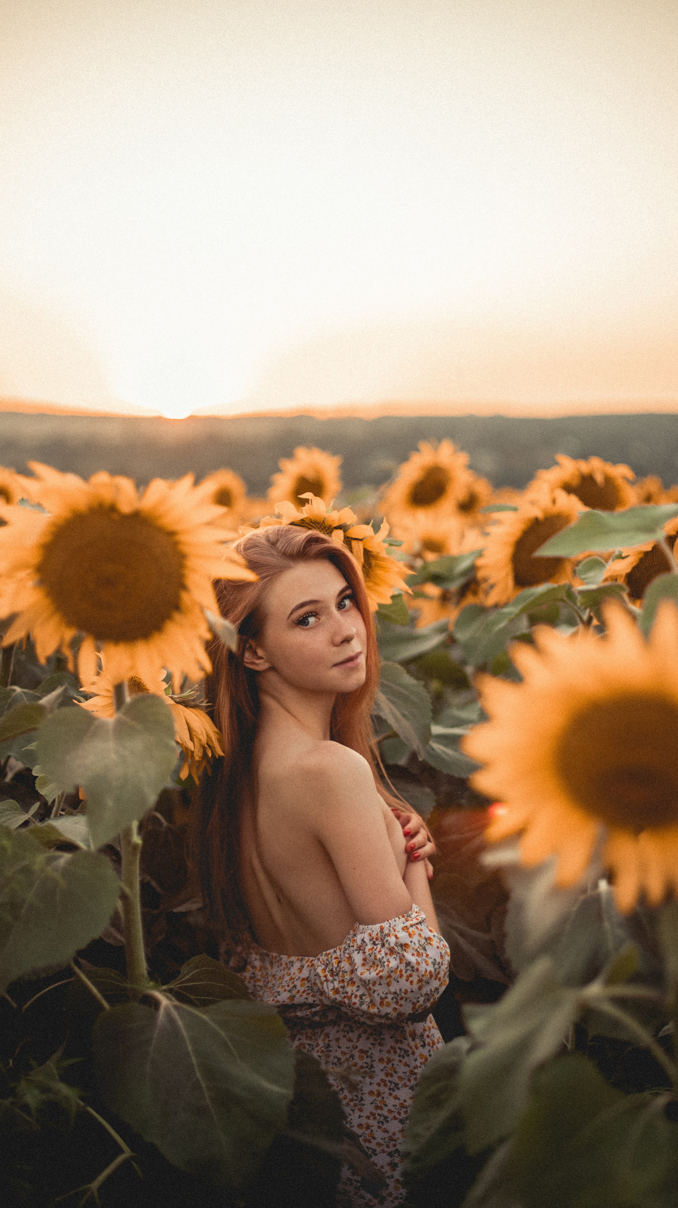 Огненные подсолнечники. Фотограф. Пейзажи, макро, портреты. Город Енакиево, без границ в съёмке