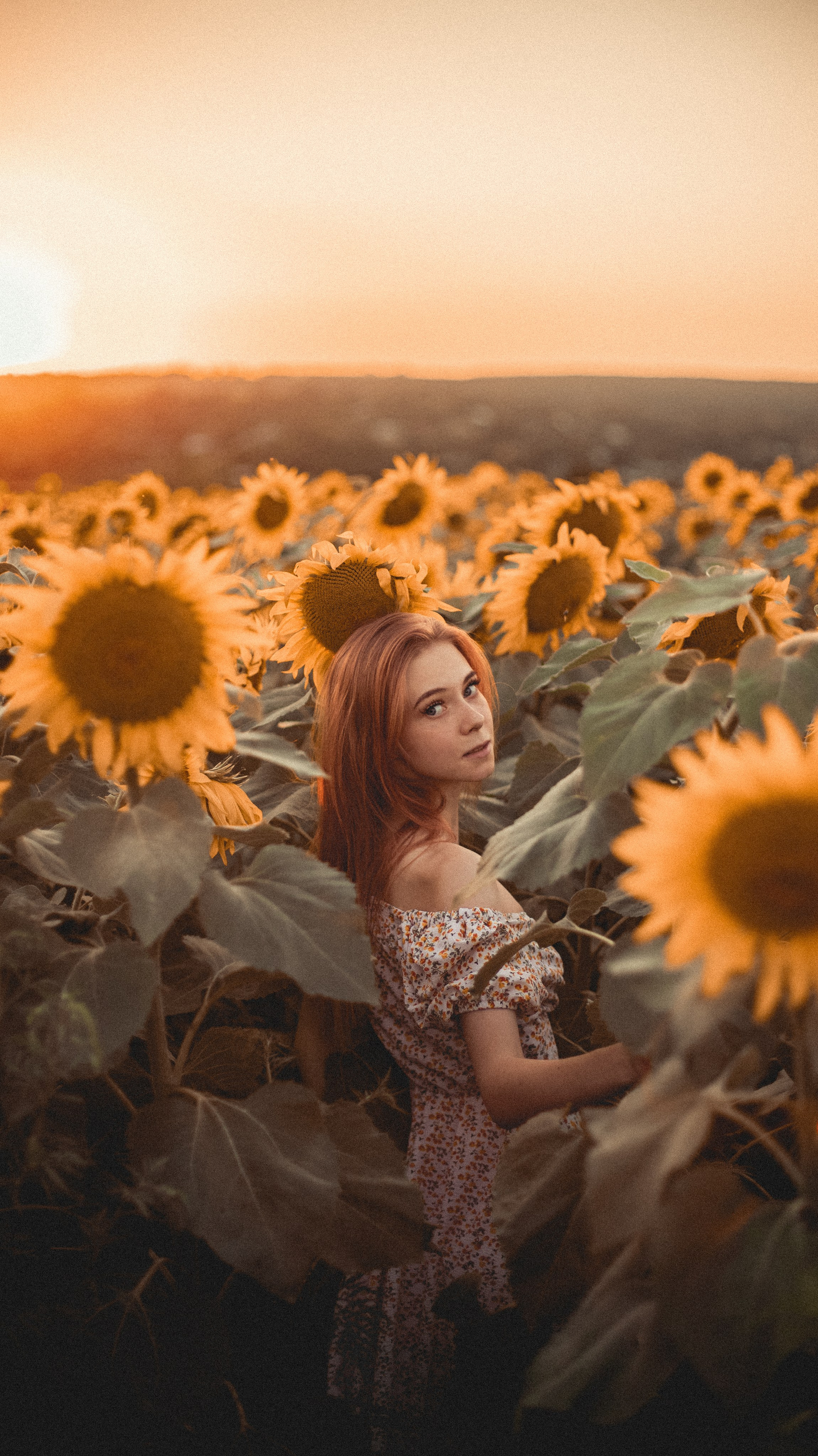 Огненные подсолнечники. Фотограф. Пейзажи, макро, портреты. Город Енакиево, без границ в съёмке