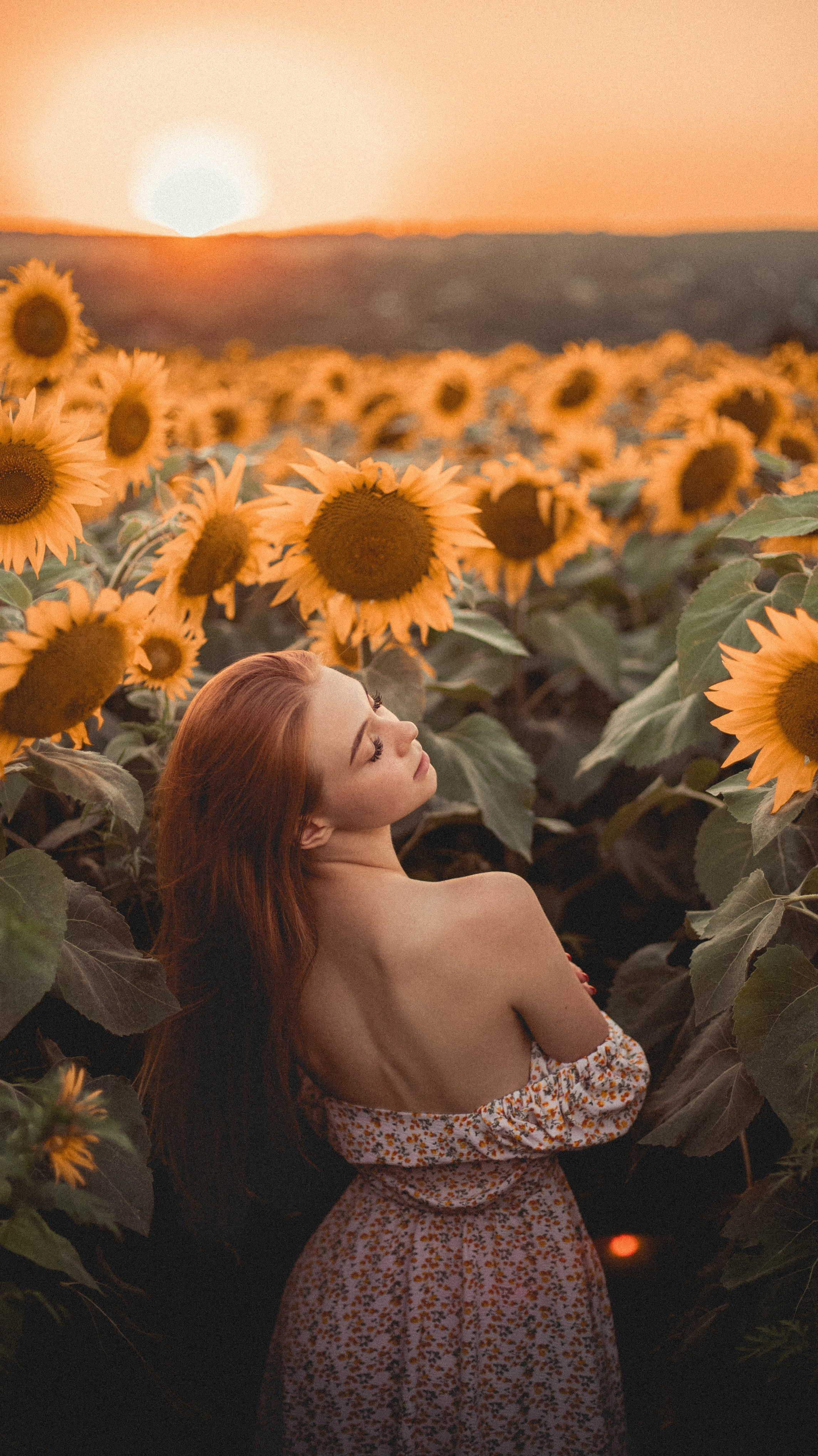 Огненные подсолнечники. Фотограф. Пейзажи, макро, портреты. Город Енакиево, без границ в съёмке