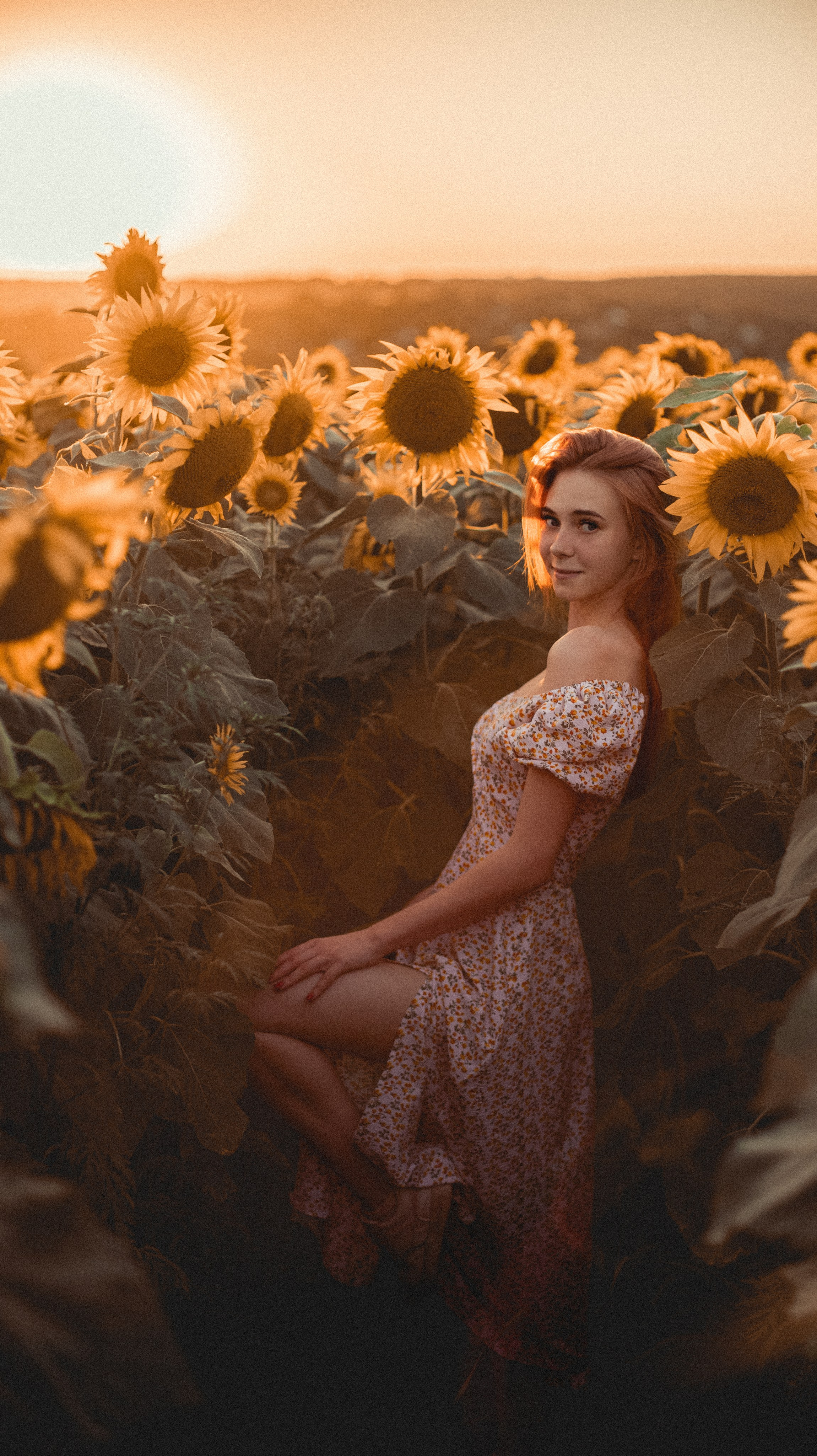 Огненные подсолнечники. Фотограф. Пейзажи, макро, портреты. Город Енакиево, без границ в съёмке
