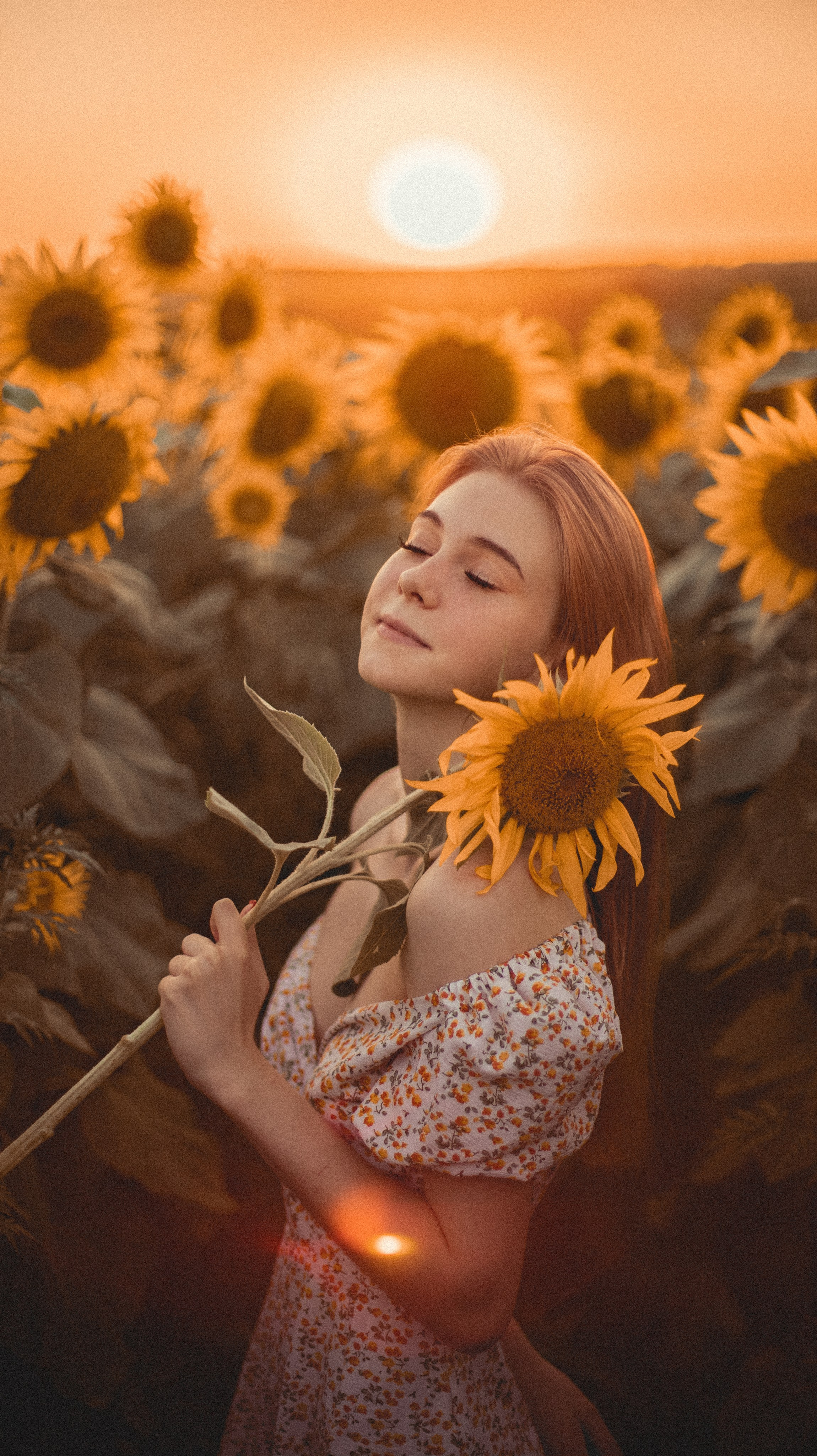 Огненные подсолнечники. Фотограф. Пейзажи, макро, портреты. Город Енакиево, без границ в съёмке
