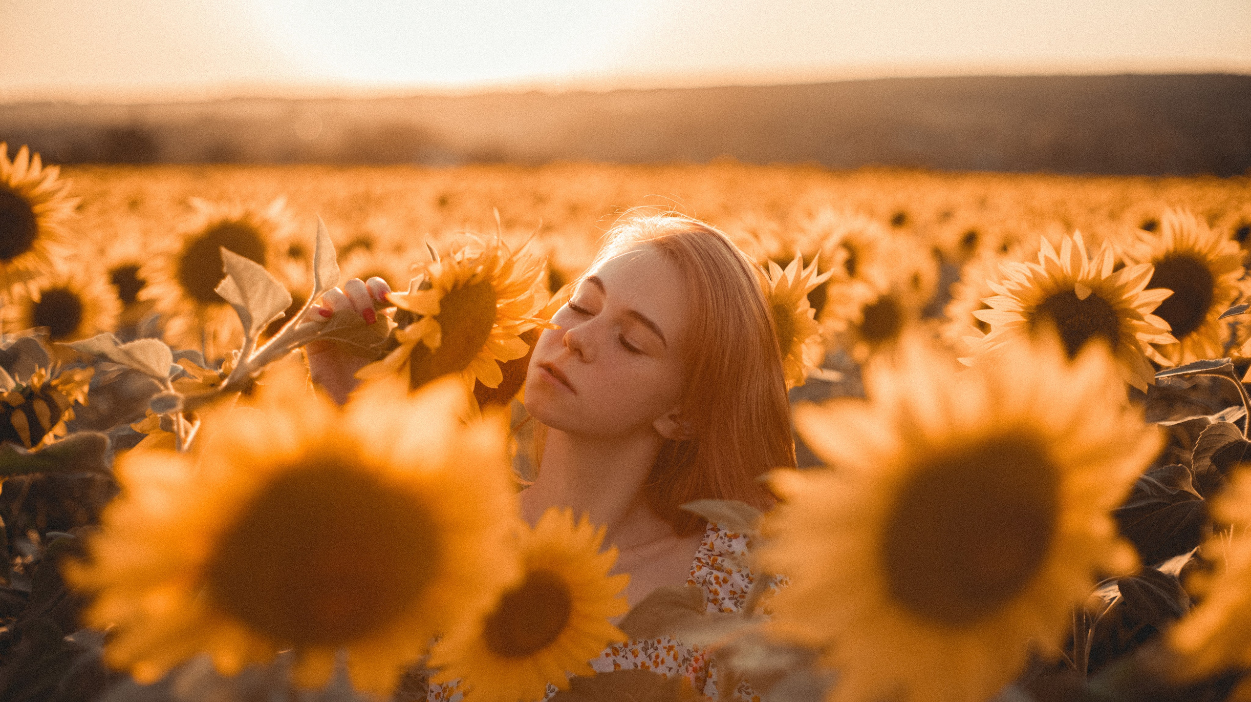 Огненные подсолнечники. Фотограф. Пейзажи, макро, портреты. Город Енакиево, без границ в съёмке