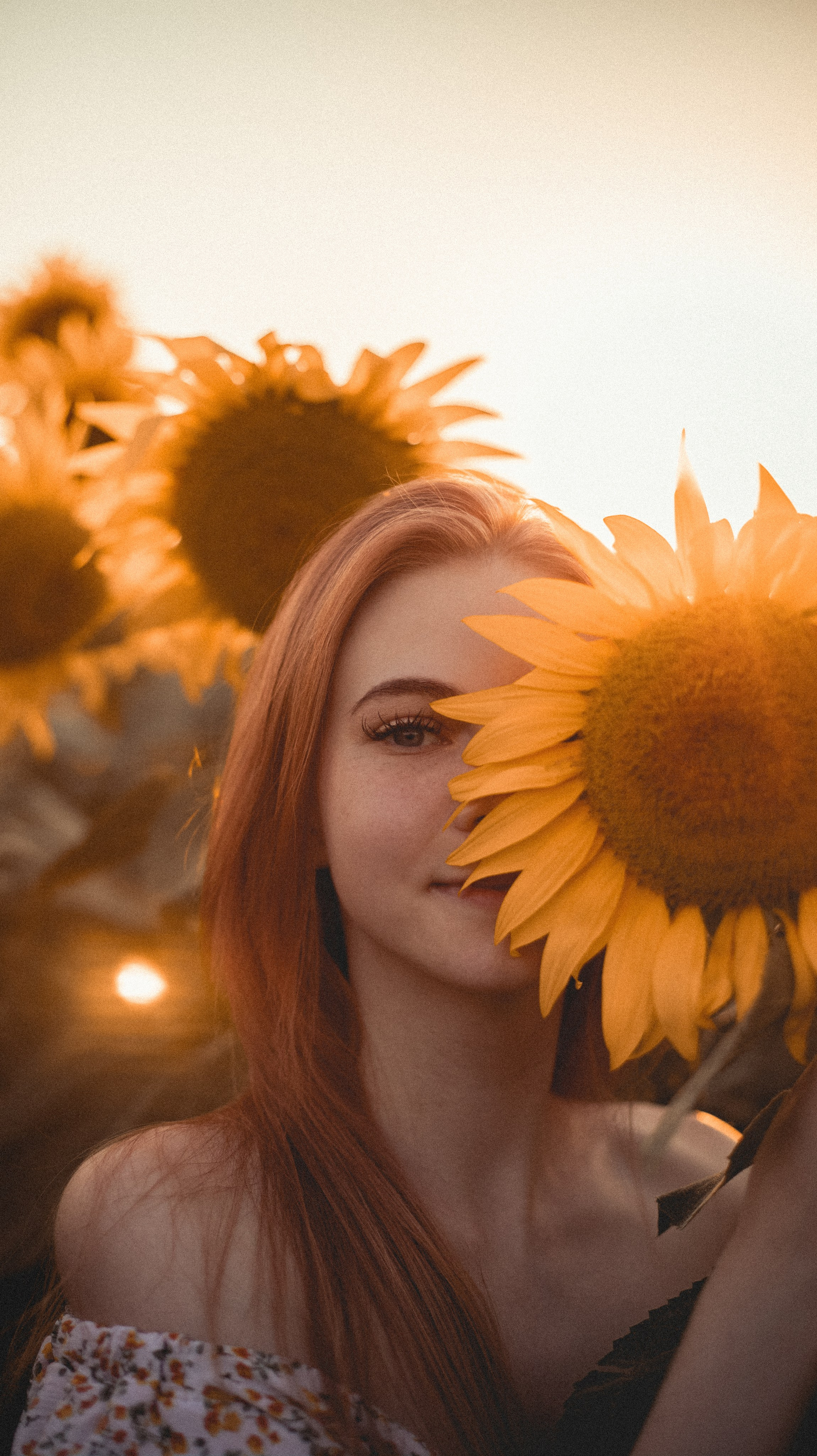 Огненные подсолнечники. Фотограф. Пейзажи, макро, портреты. Город Енакиево, без границ в съёмке