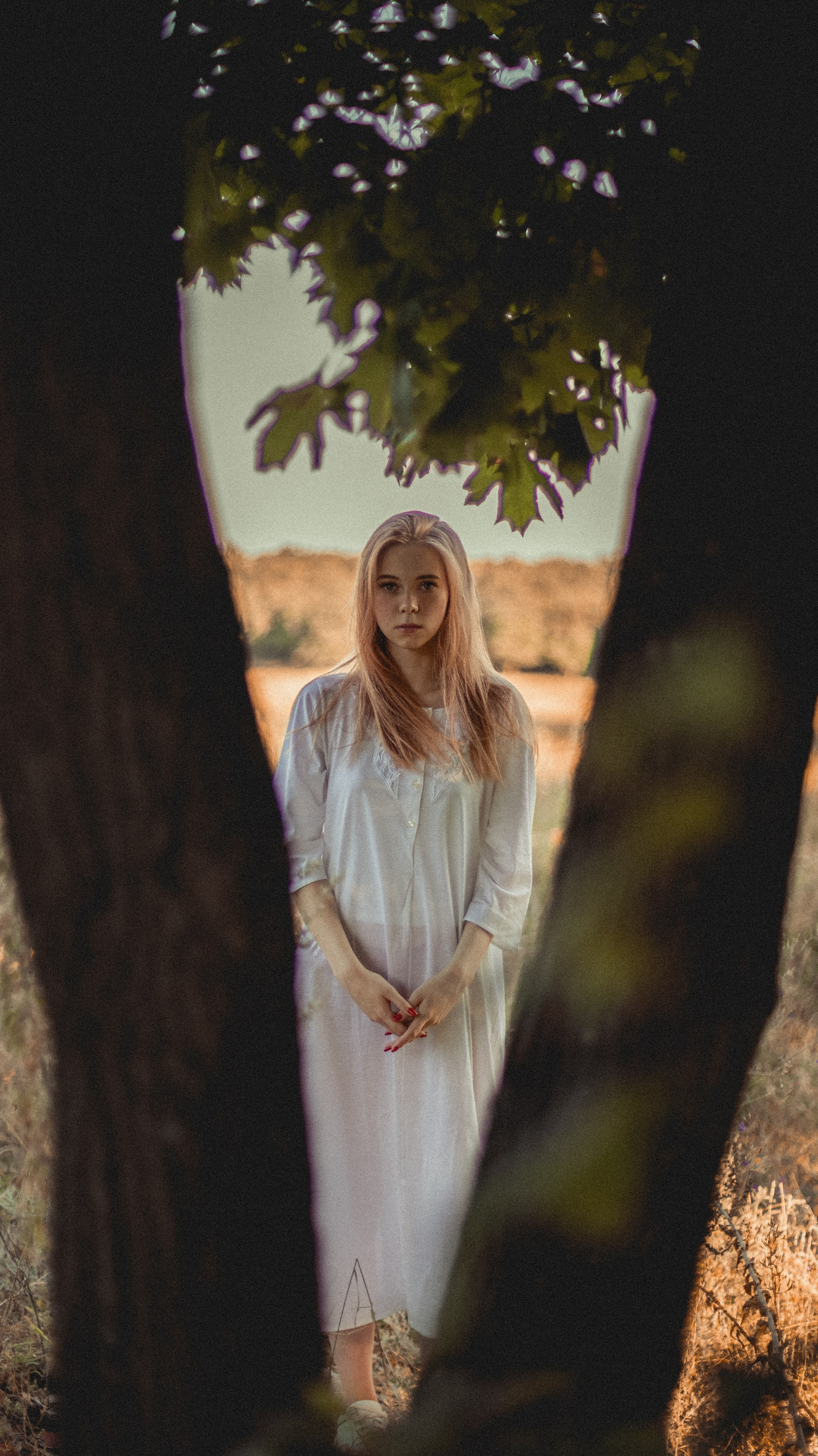 Огненные подсолнечники. Фотограф. Пейзажи, макро, портреты. Город Енакиево, без границ в съёмке