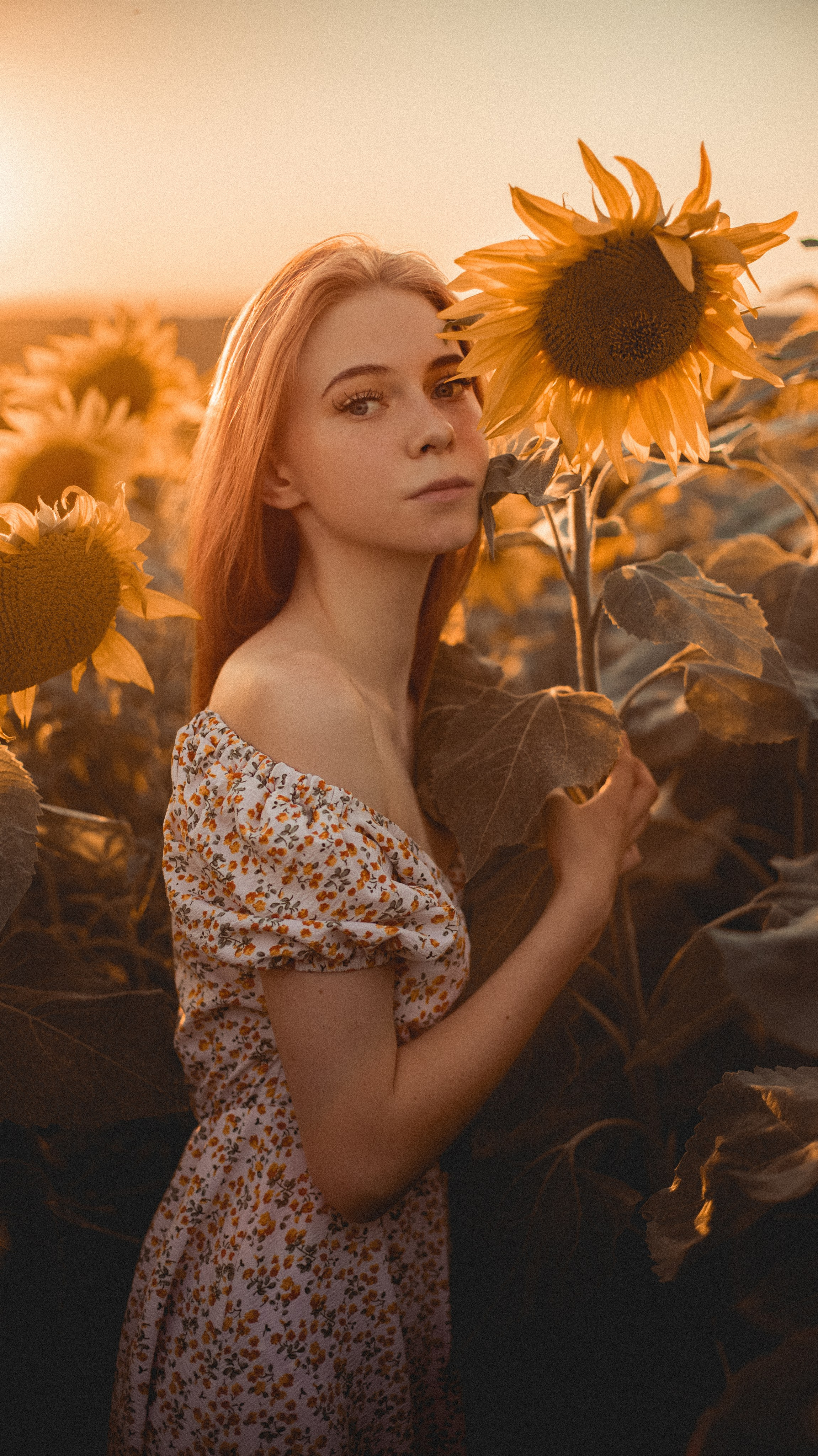 Огненные подсолнечники. Фотограф. Пейзажи, макро, портреты. Город Енакиево, без границ в съёмке