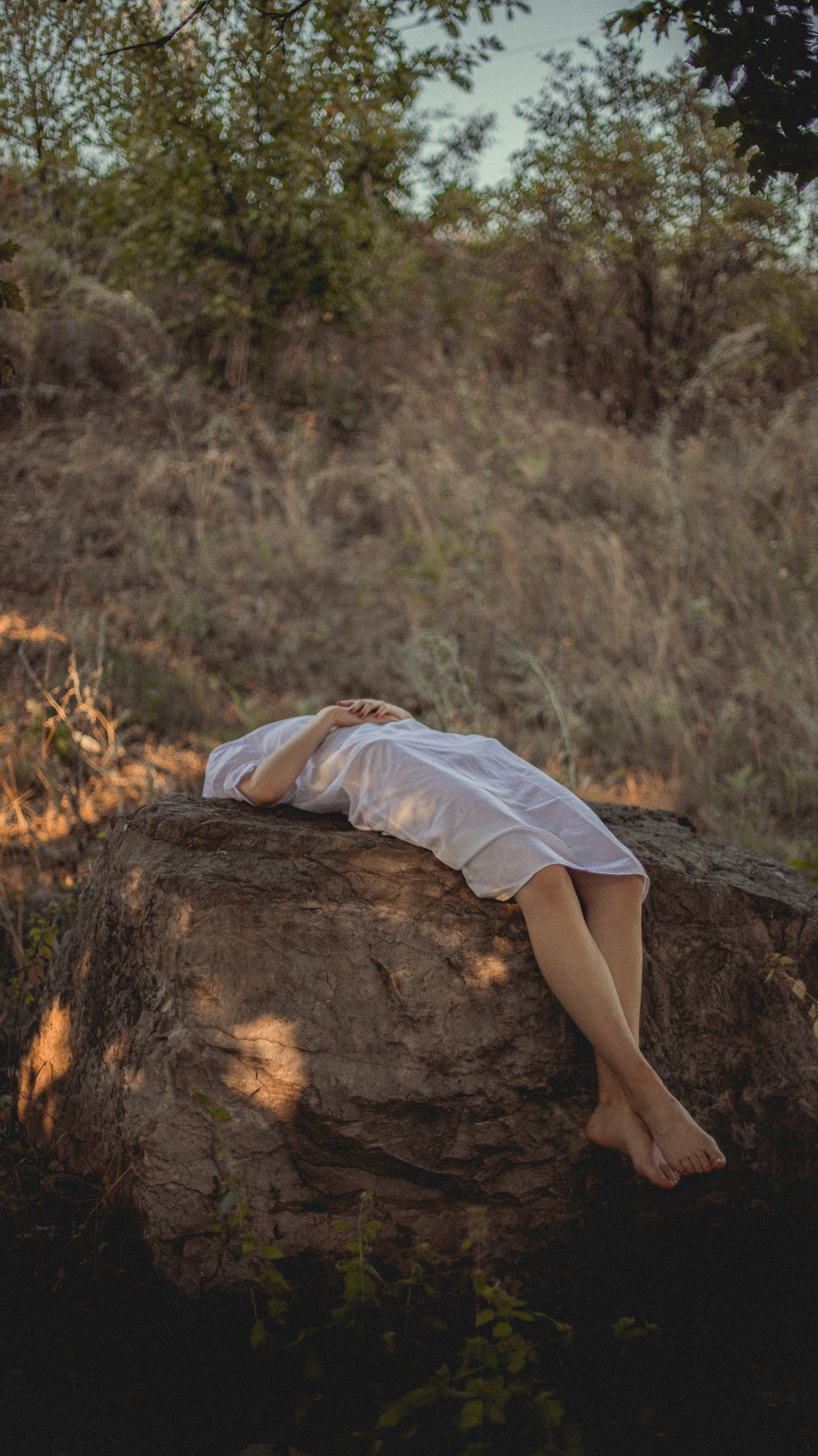 Огненные подсолнечники. Фотограф. Пейзажи, макро, портреты. Город Енакиево, без границ в съёмке