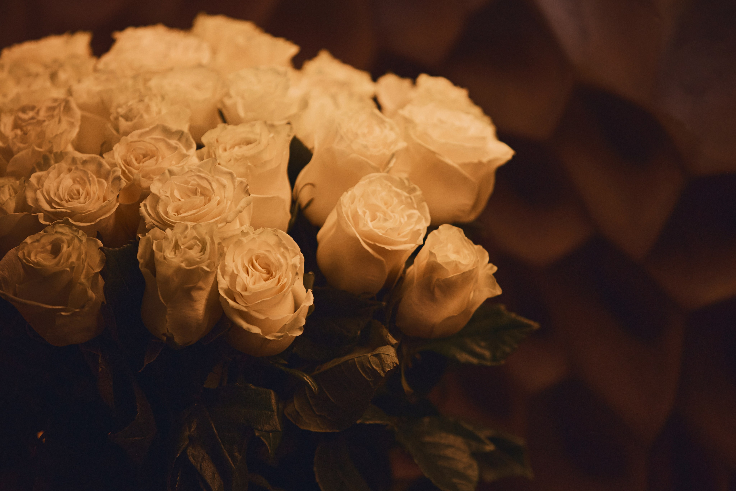 CORPORATE PARTY «AYMED». Дмитрий Мазуркевич: Профессиональный Репортажный Фотограф