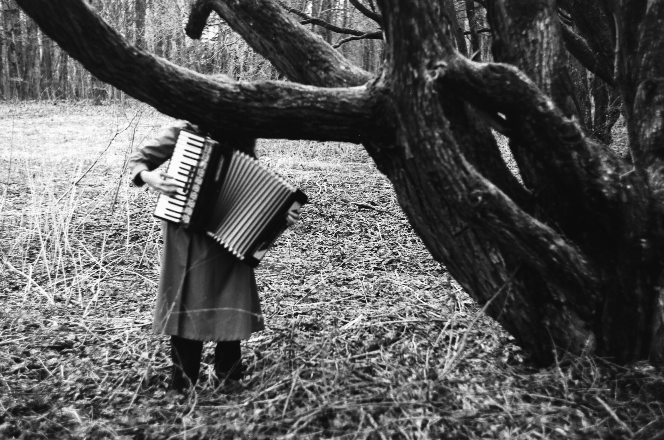 Akkordeon. Портретный фотограф в Санкт-Петербурге Ольга Муранова
