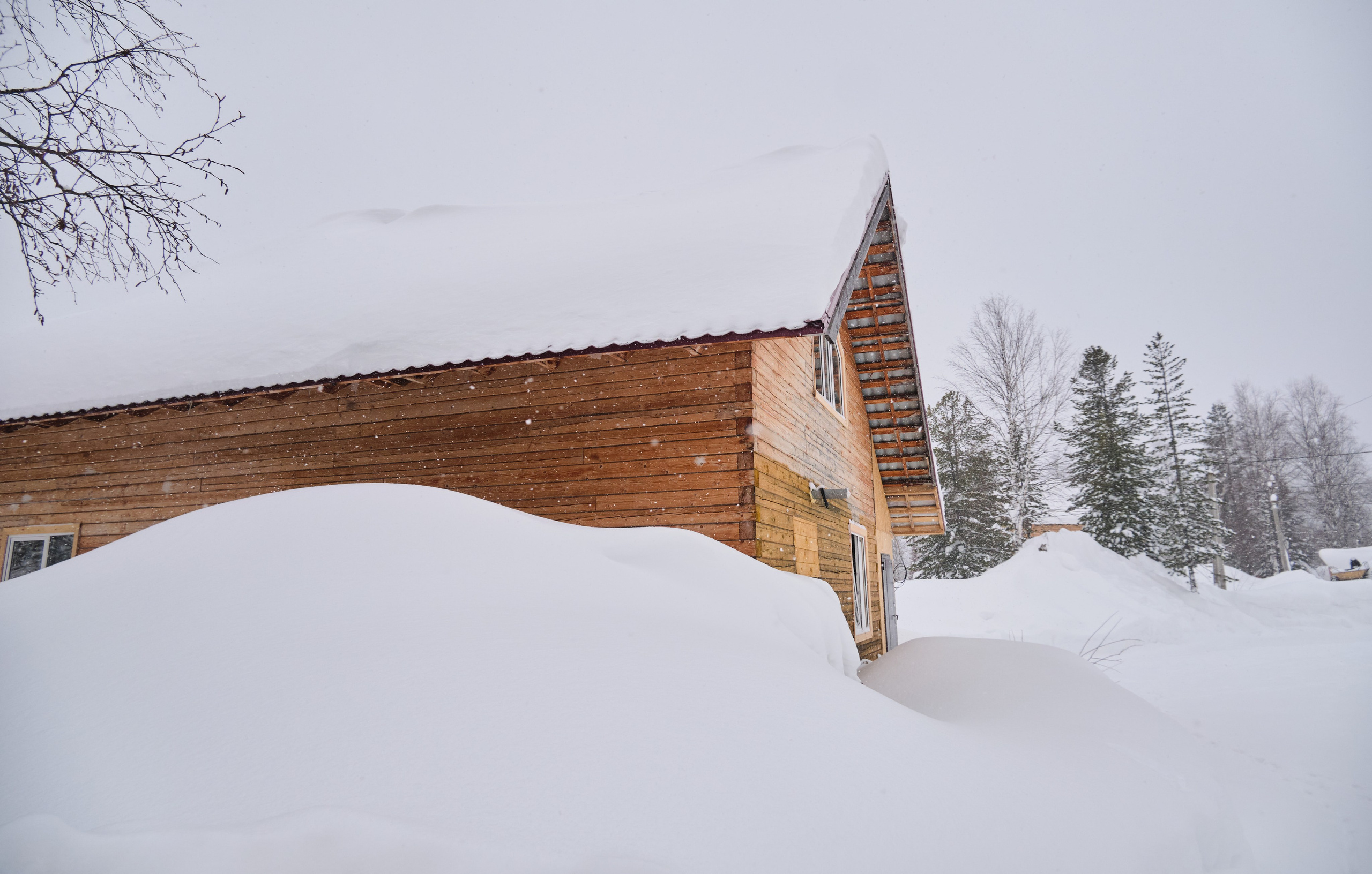 Свободная 8 Дом 2. Свадебный и семейный фотограф в Новокузнецке Иван Иванов