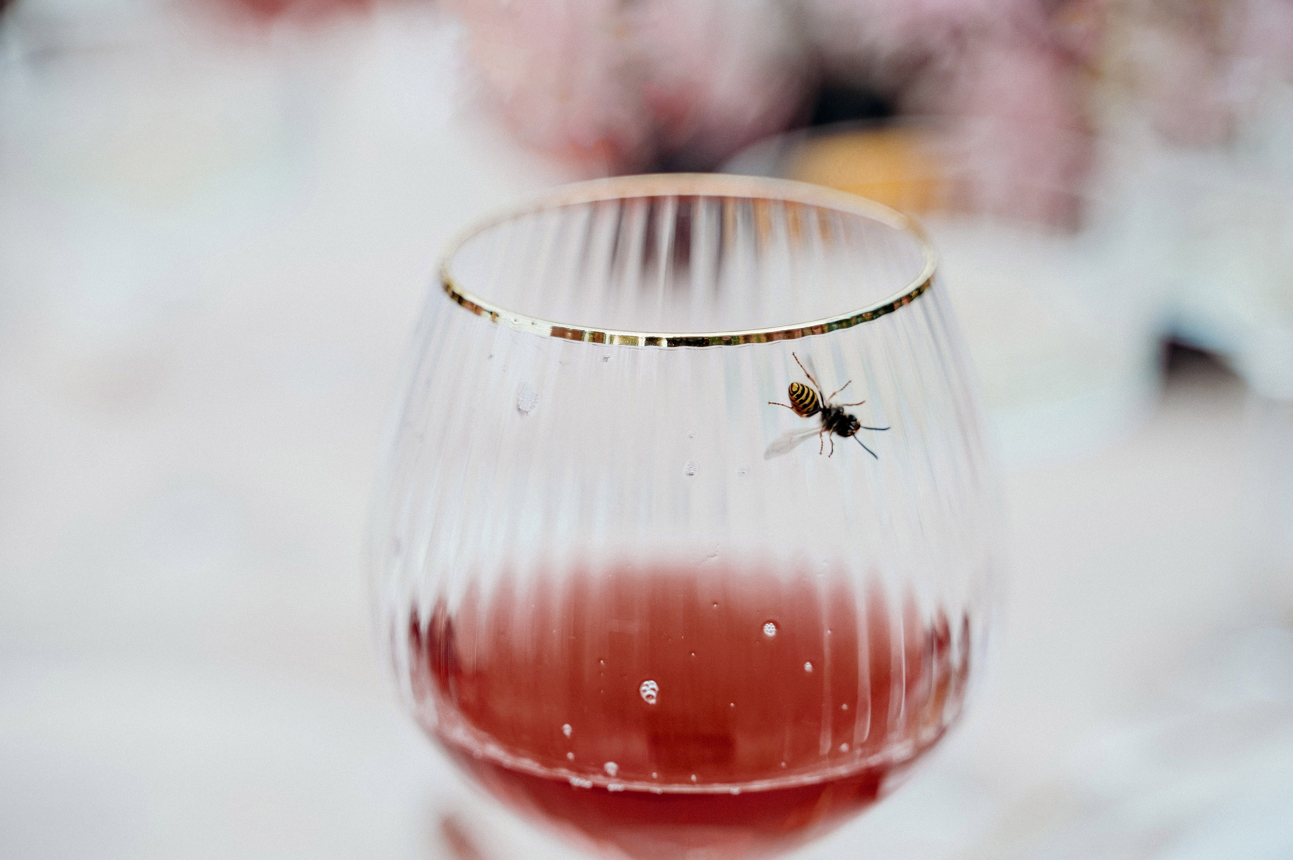 Вадим и Диана. Фотограф Павел Петров г. Тюмень