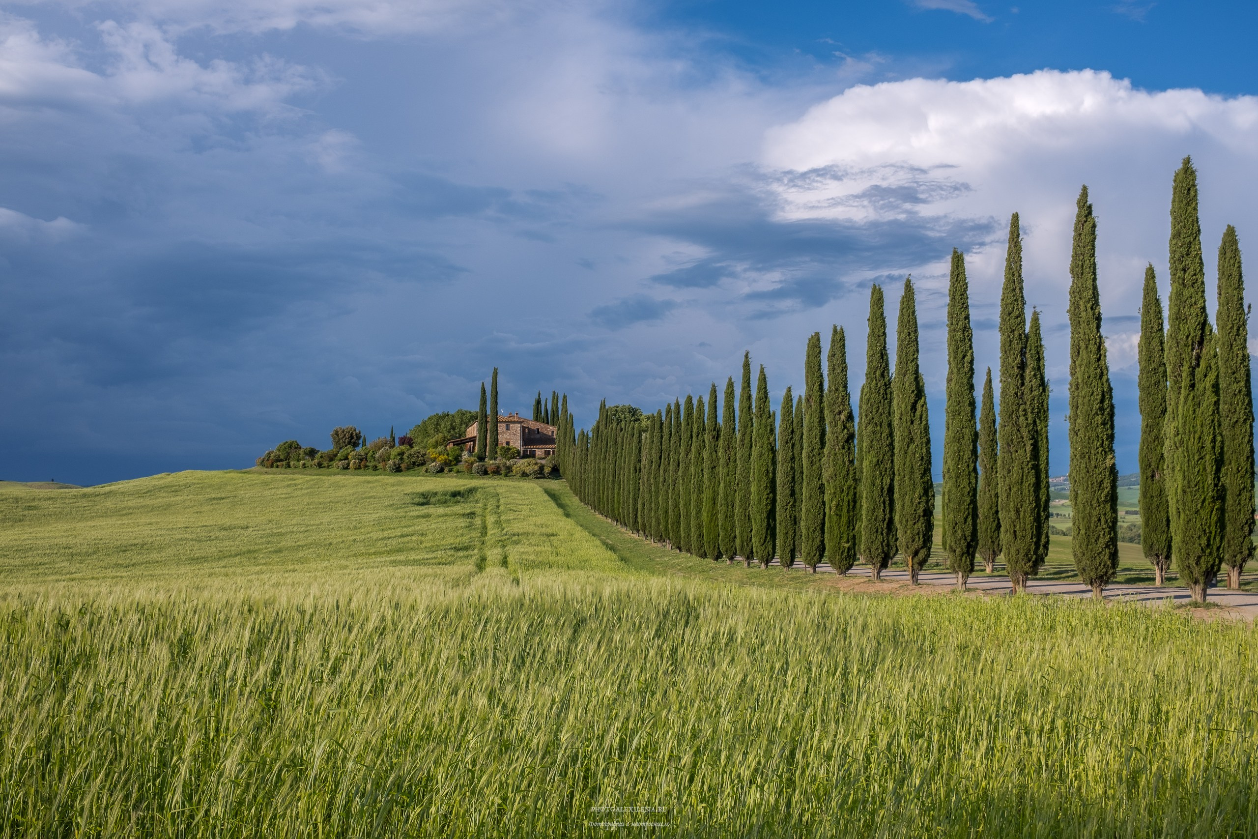 Долина Валь д’Орча-сердце Тосканы. Авторские стильные фотокартины