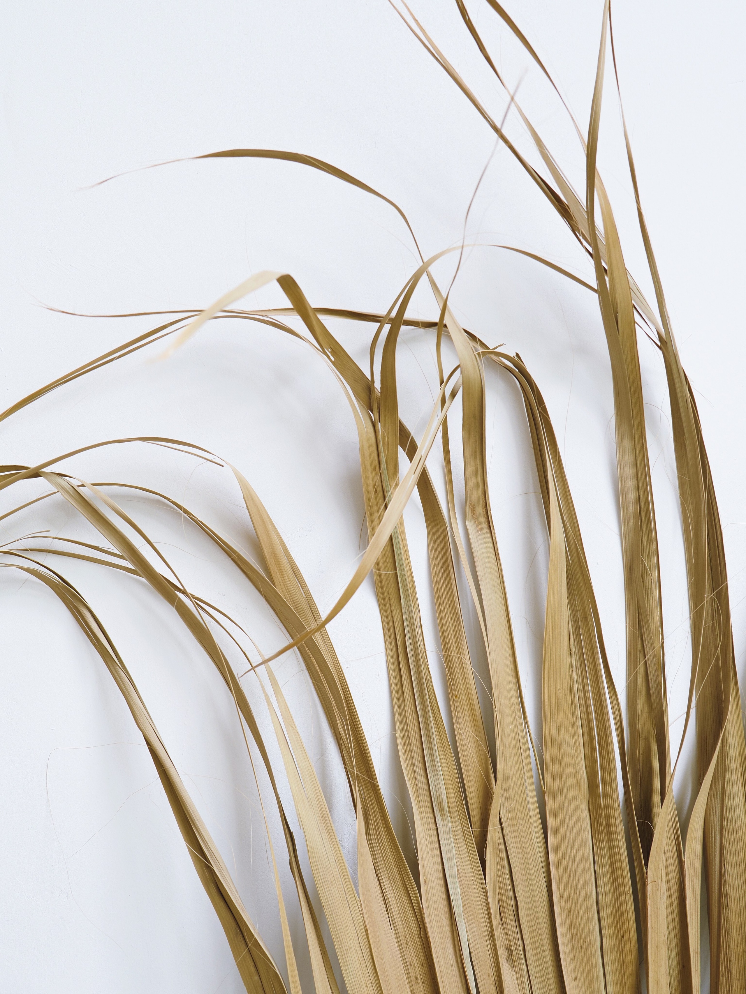 Проект для дизайнера. Фотограф Рязань. Семейный Свадебный фотограф