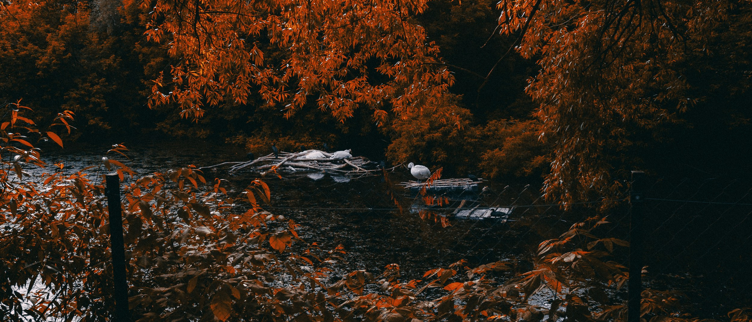 Зоопарк '22. Фёдор Малюгин. Ваш бади в визуале