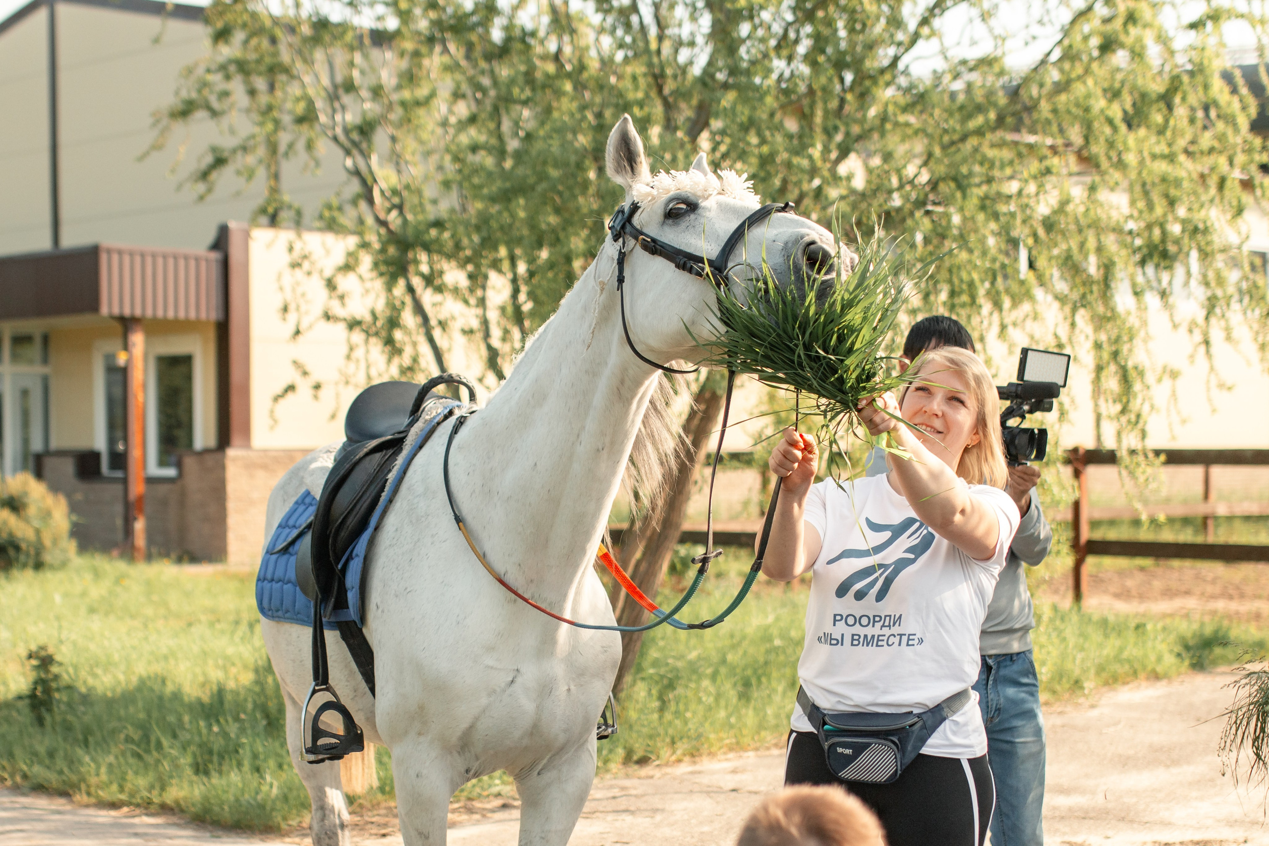 Новости конного спорта