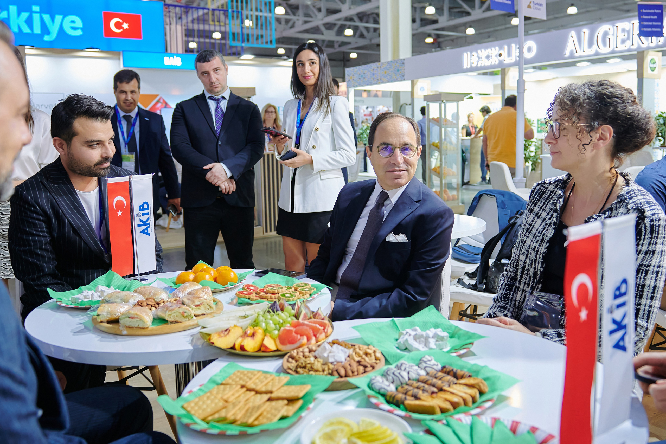 Выставки. Solofilms