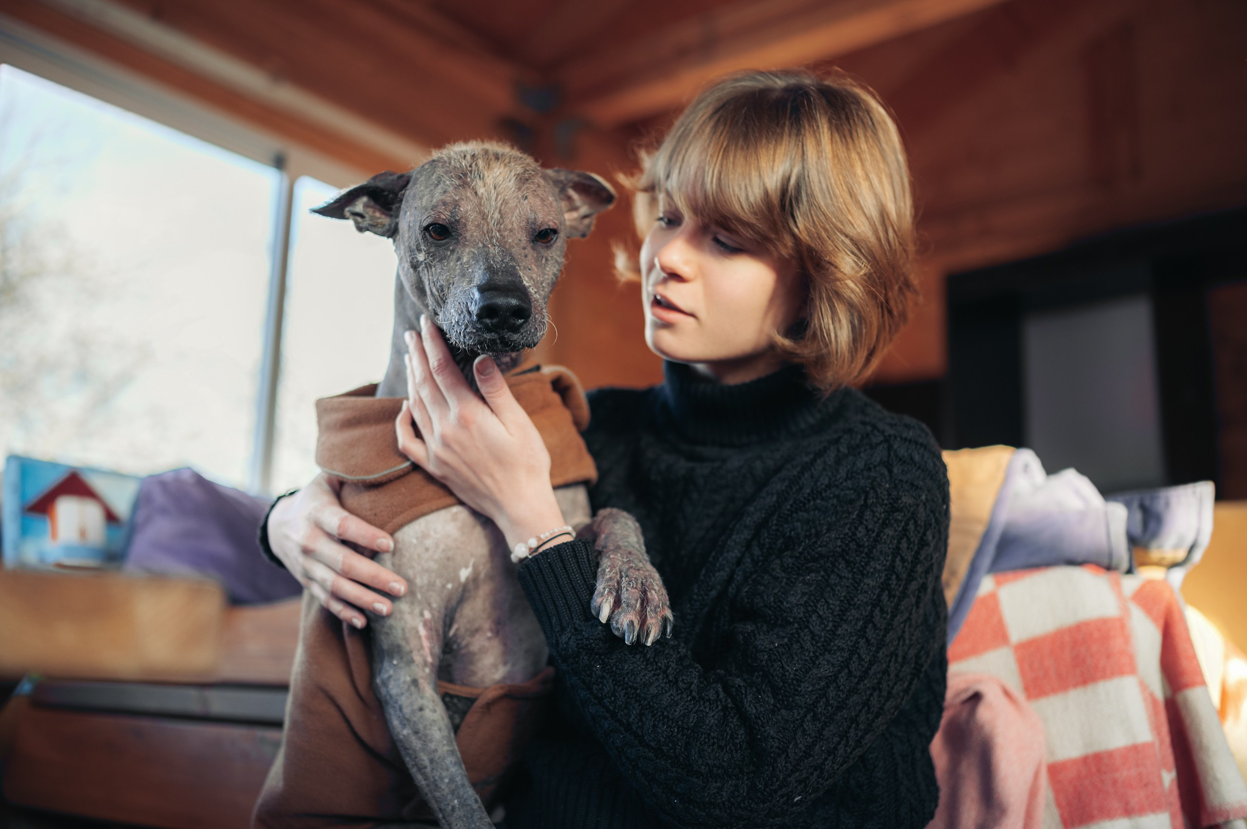 Творческое портфолио. Komonev