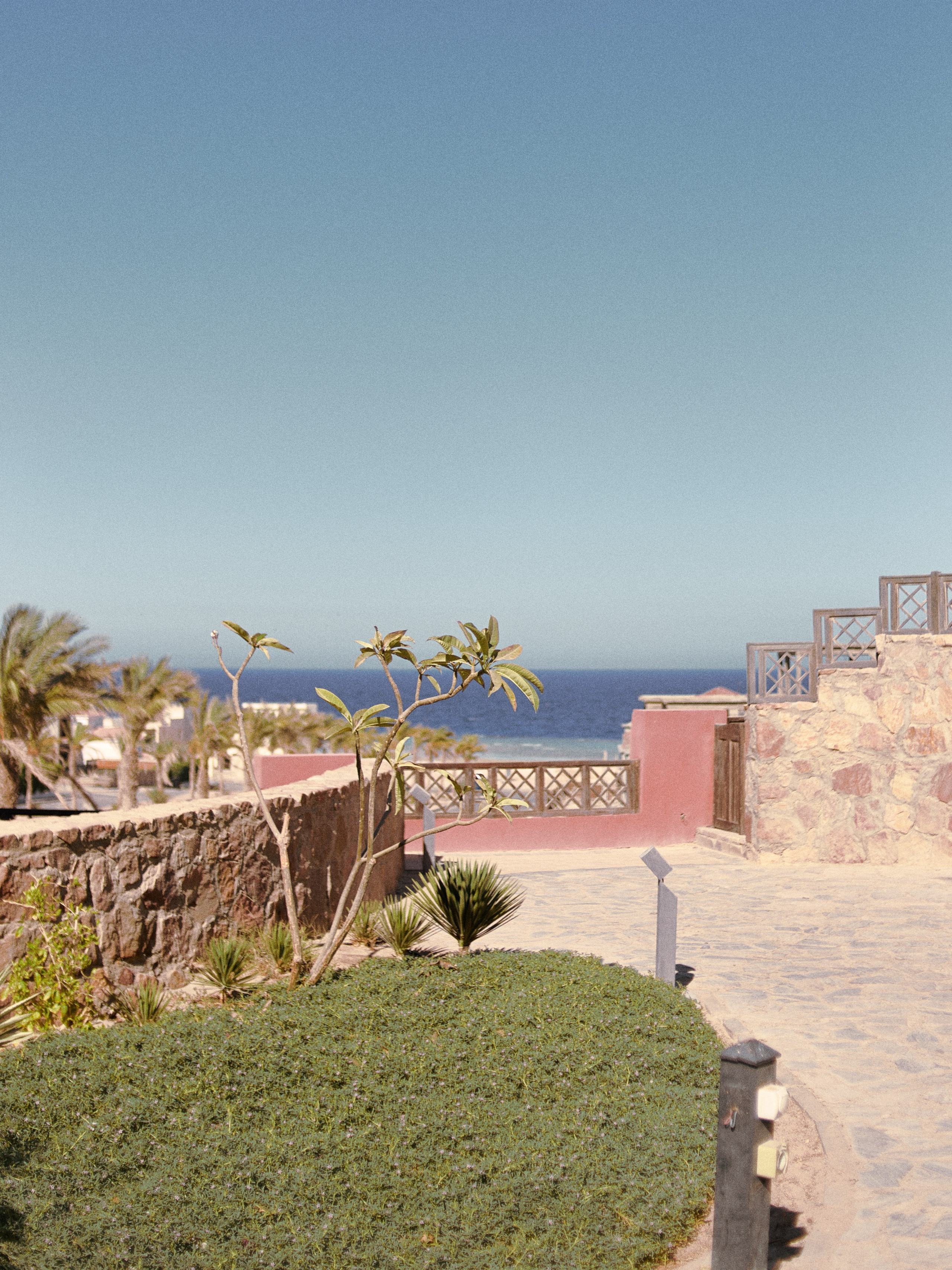 Улицы. Jorgis Talè — photographer, kind person, teacher of arts and other mag