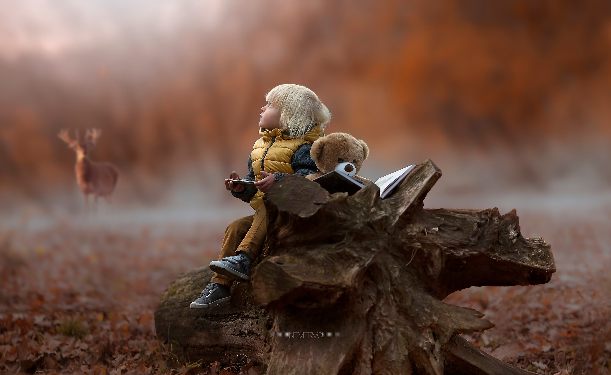 Арт-фотограф, фото художник в Москве Олег Голишников. Арт-фотограф Олег Голишников. Творческая мастерская