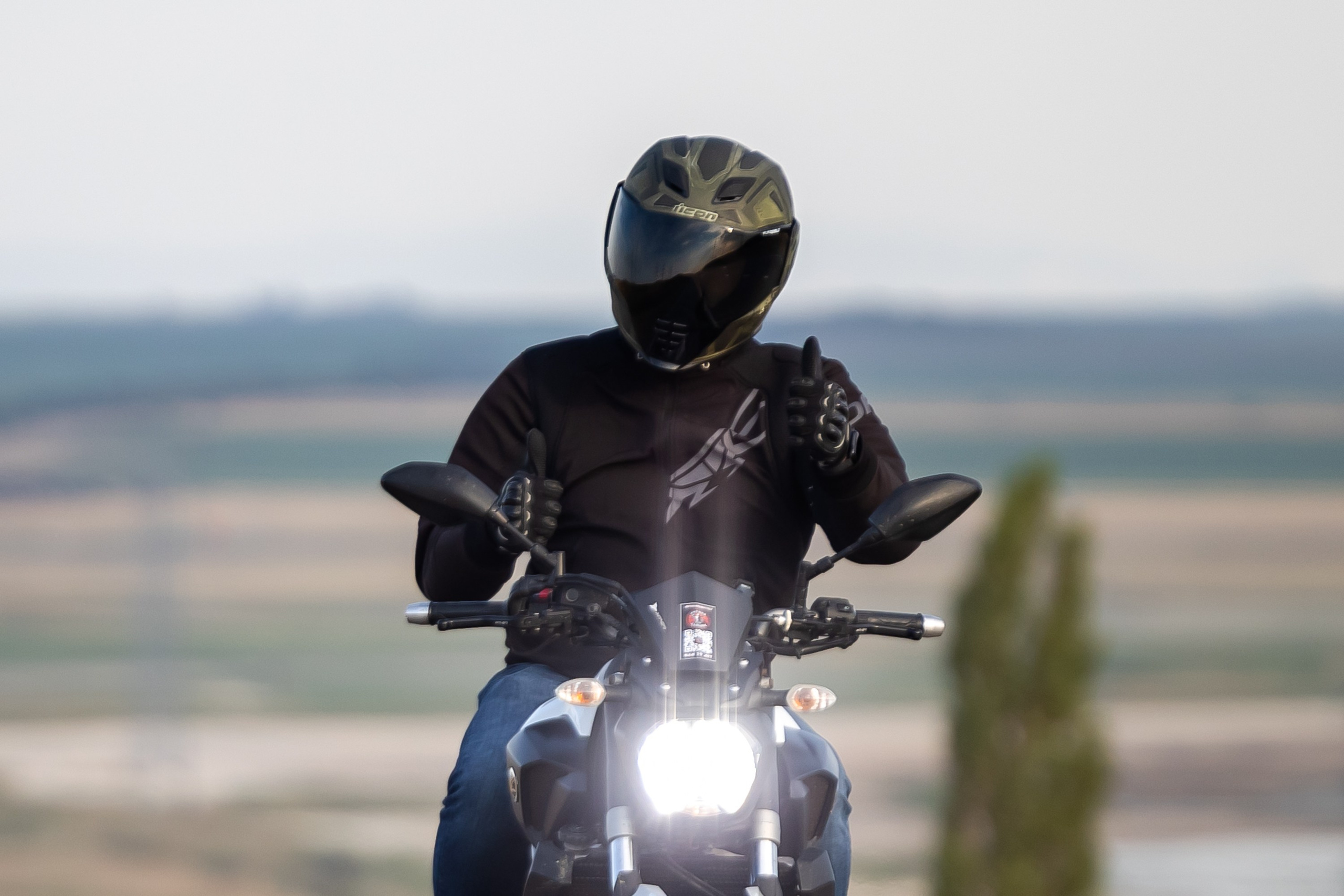 Южное мини-сафари в Тамани. Июль 2024. Фотограф Владимир Охрименко