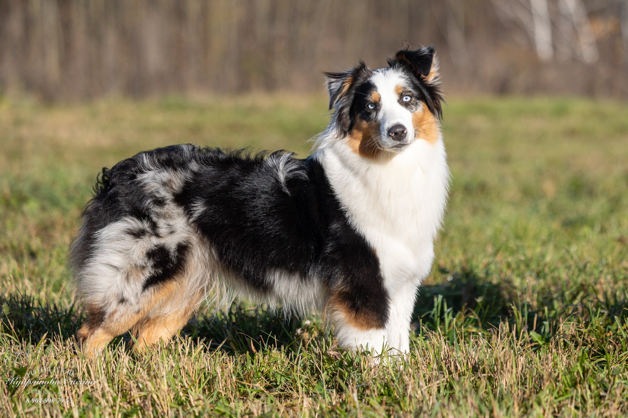 Настя и лилит!. Фотограф 📸 анималист, предметный, репортажный