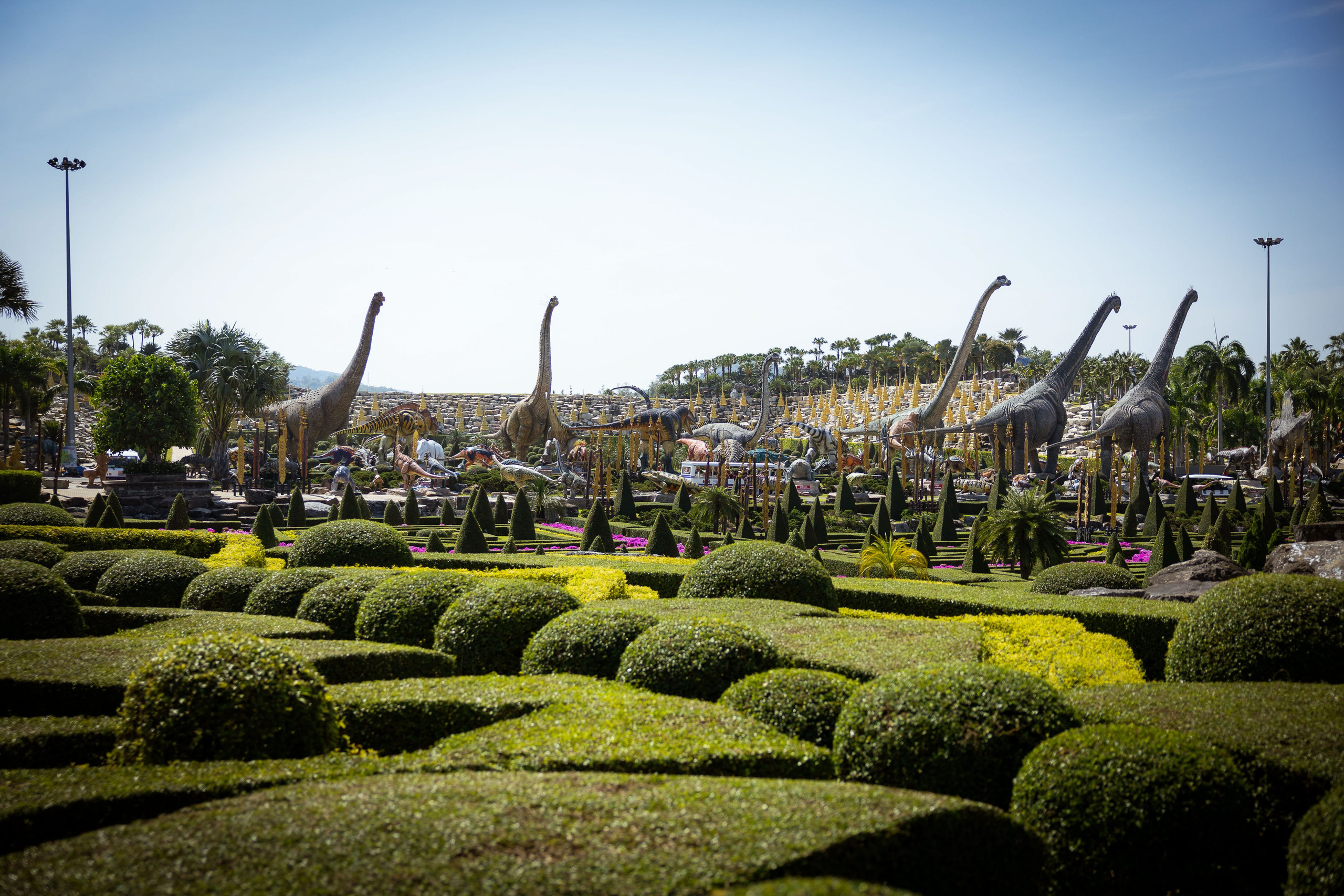 Таиланд (зима 2025). Фотограф Виноградов Константин