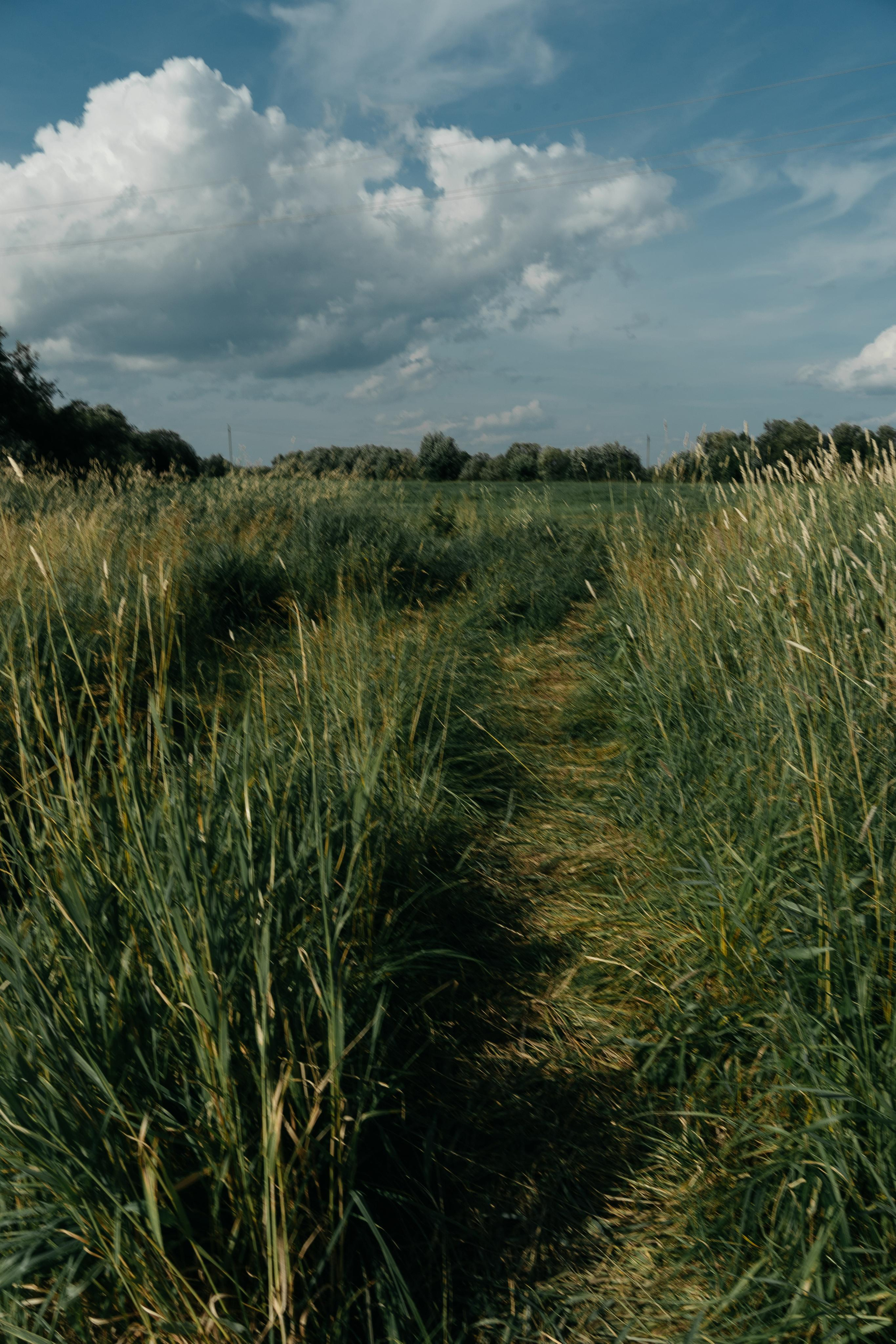 Миша  Настя. Григорий и Ольга Насинник — свадебный фотограф Архангельск