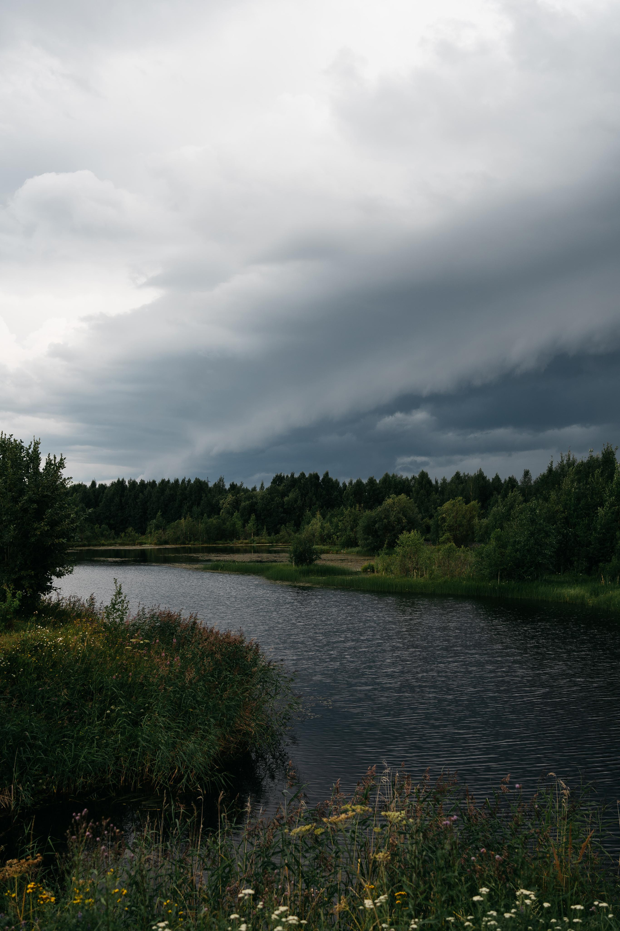 Миша  Настя. Григорий и Ольга Насинник — свадебный фотограф Архангельск
