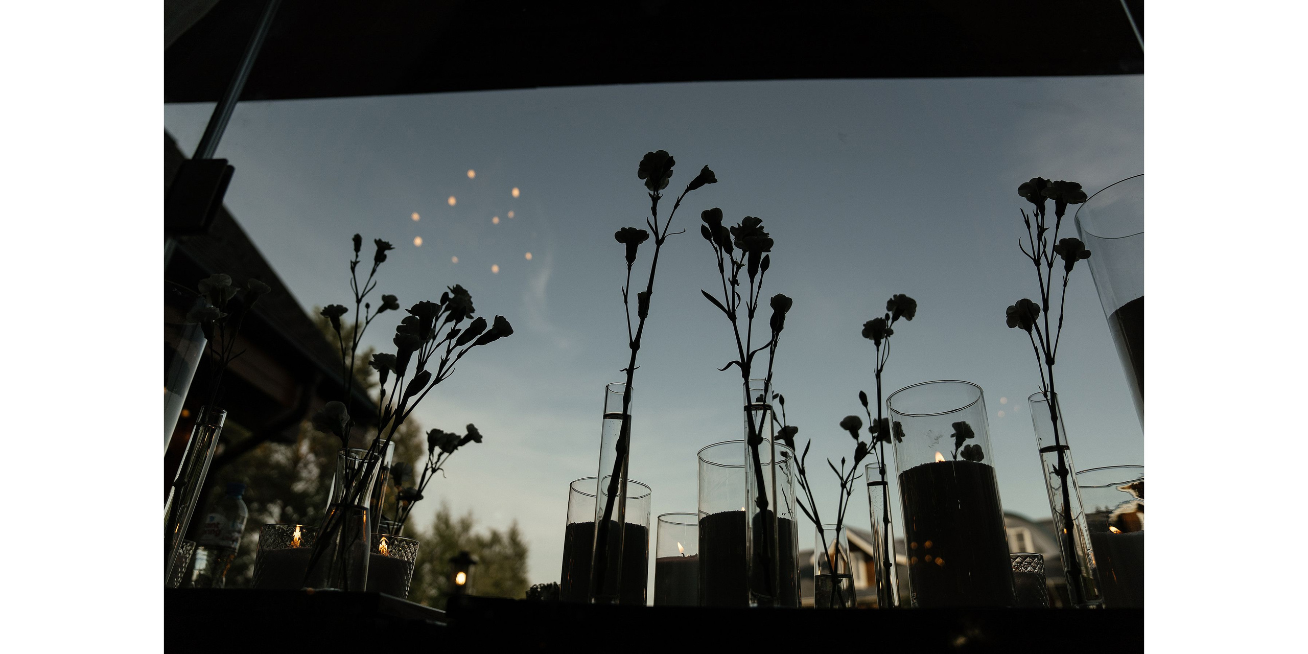 Роман Ксения. Григорий и Ольга Насинник — свадебный фотограф Архангельск