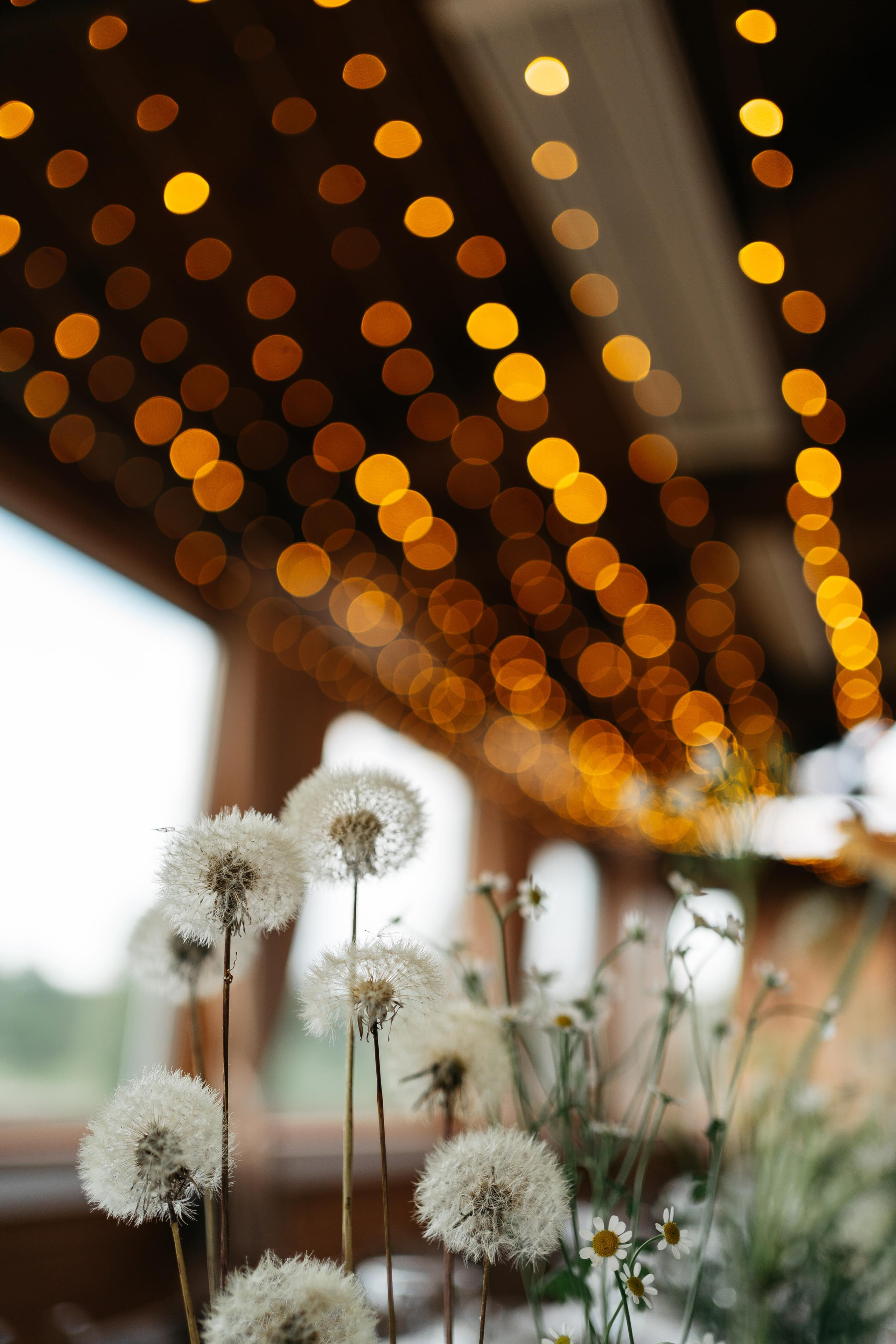 Миша  Настя. Григорий и Ольга Насинник — свадебный фотограф Архангельск