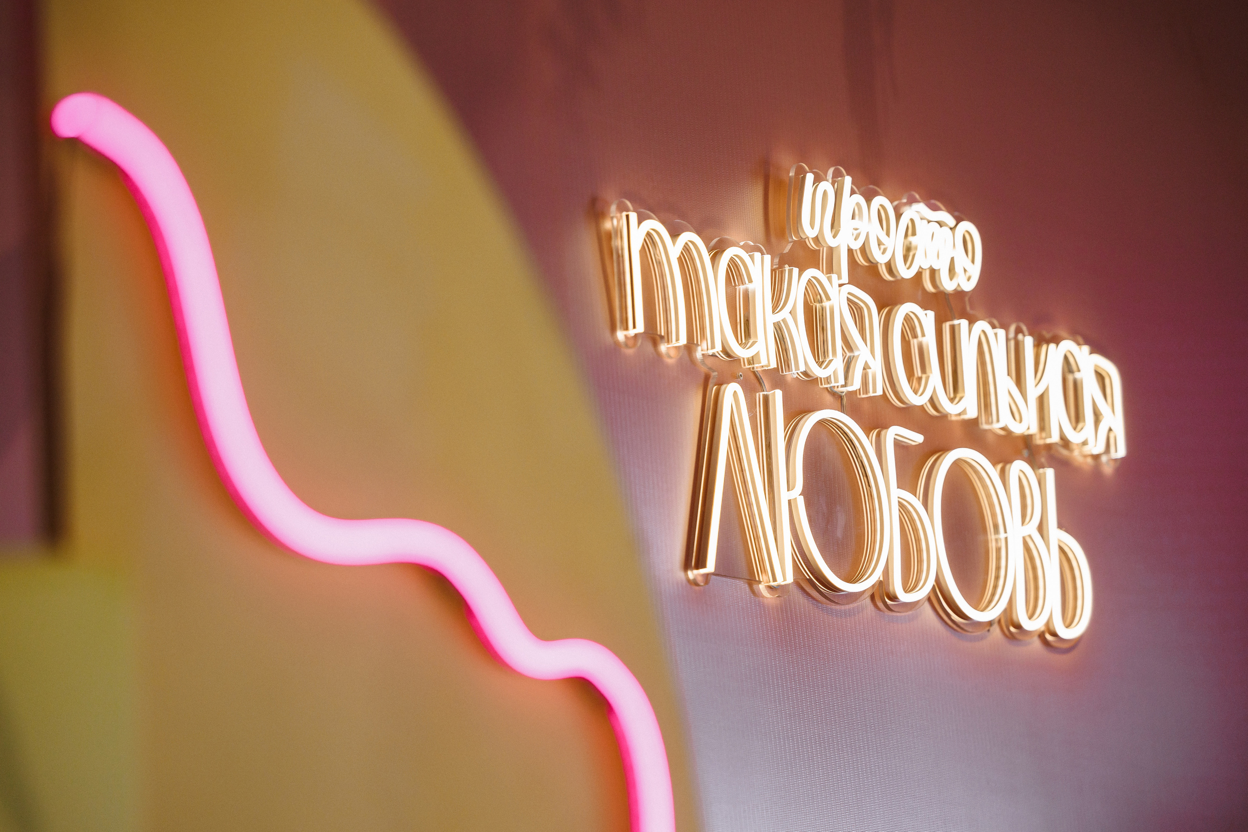 Свадьба-вечеринка. Организатор Романова Любовь