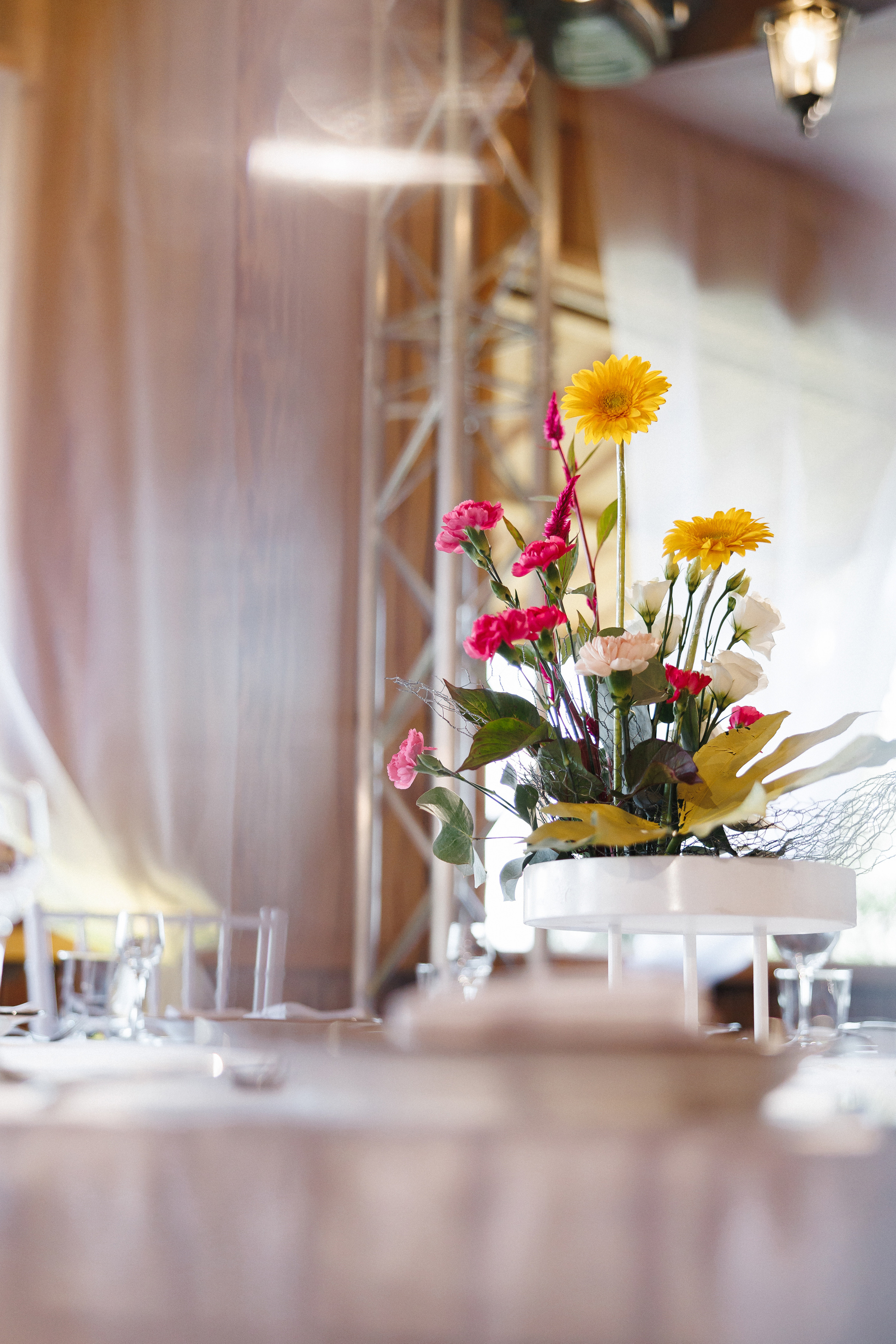 Свадьба-вечеринка. Организатор Романова Любовь