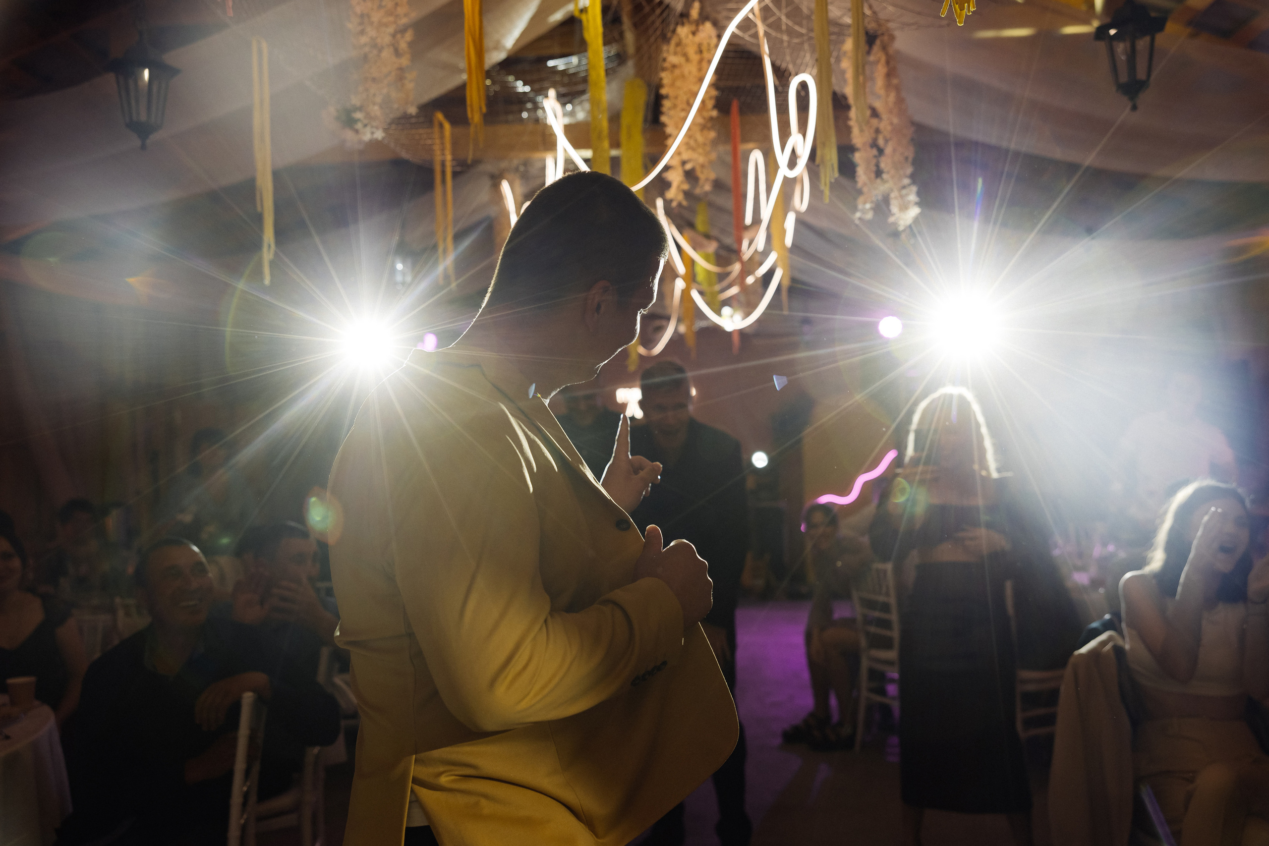 Свадьба-вечеринка. Организатор Романова Любовь