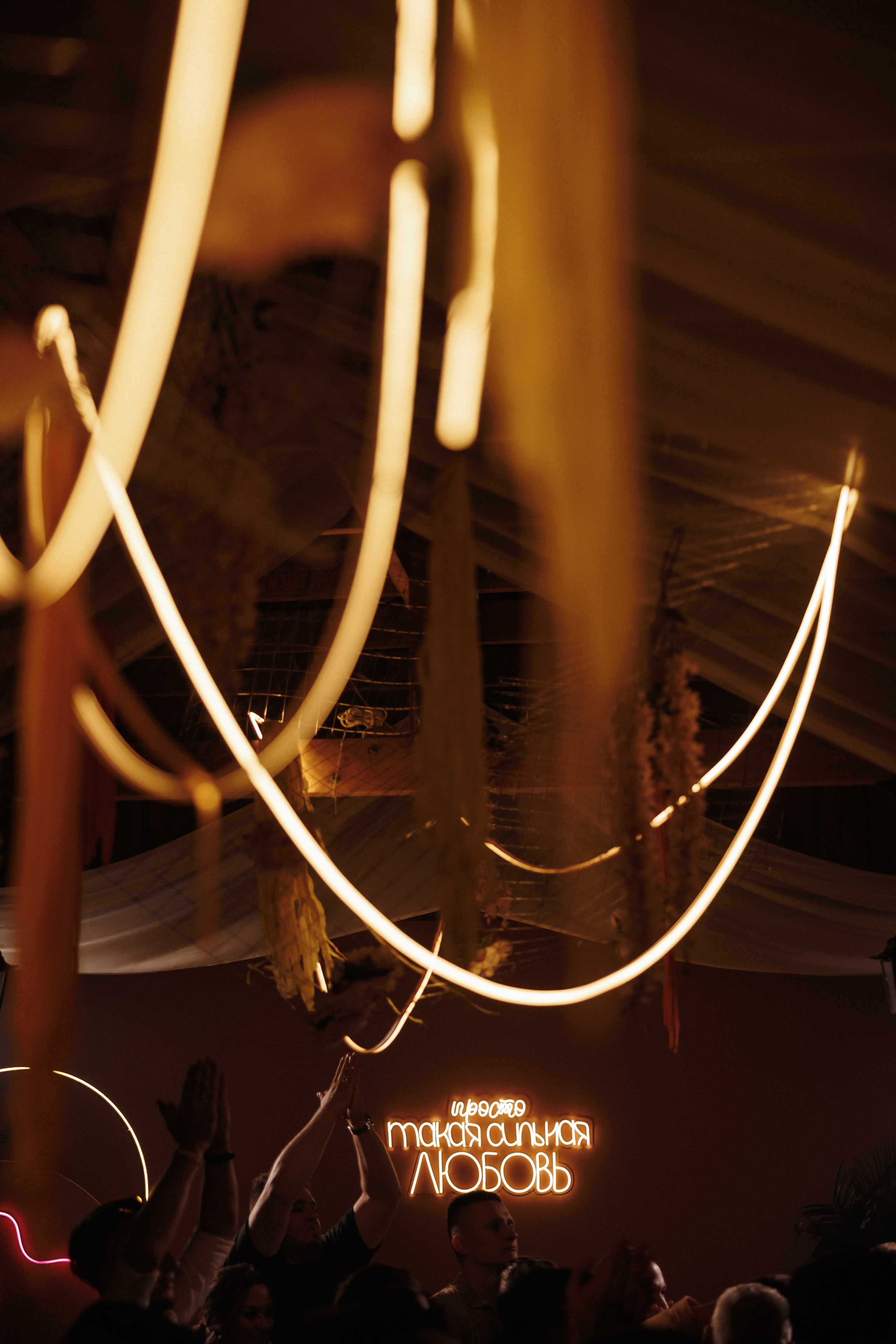 Свадьба-вечеринка. Организатор Романова Любовь