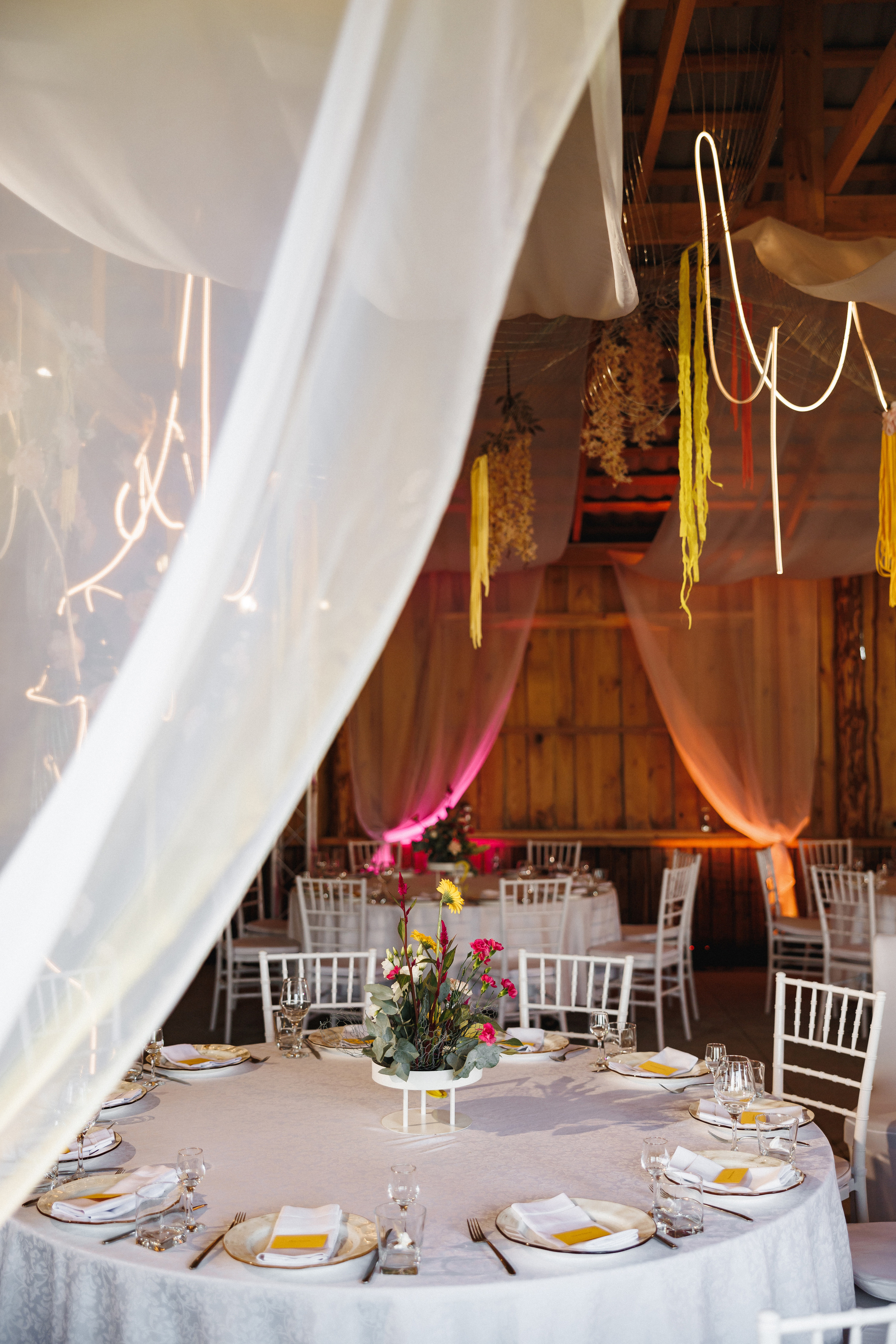 Свадьба-вечеринка. Организатор Романова Любовь