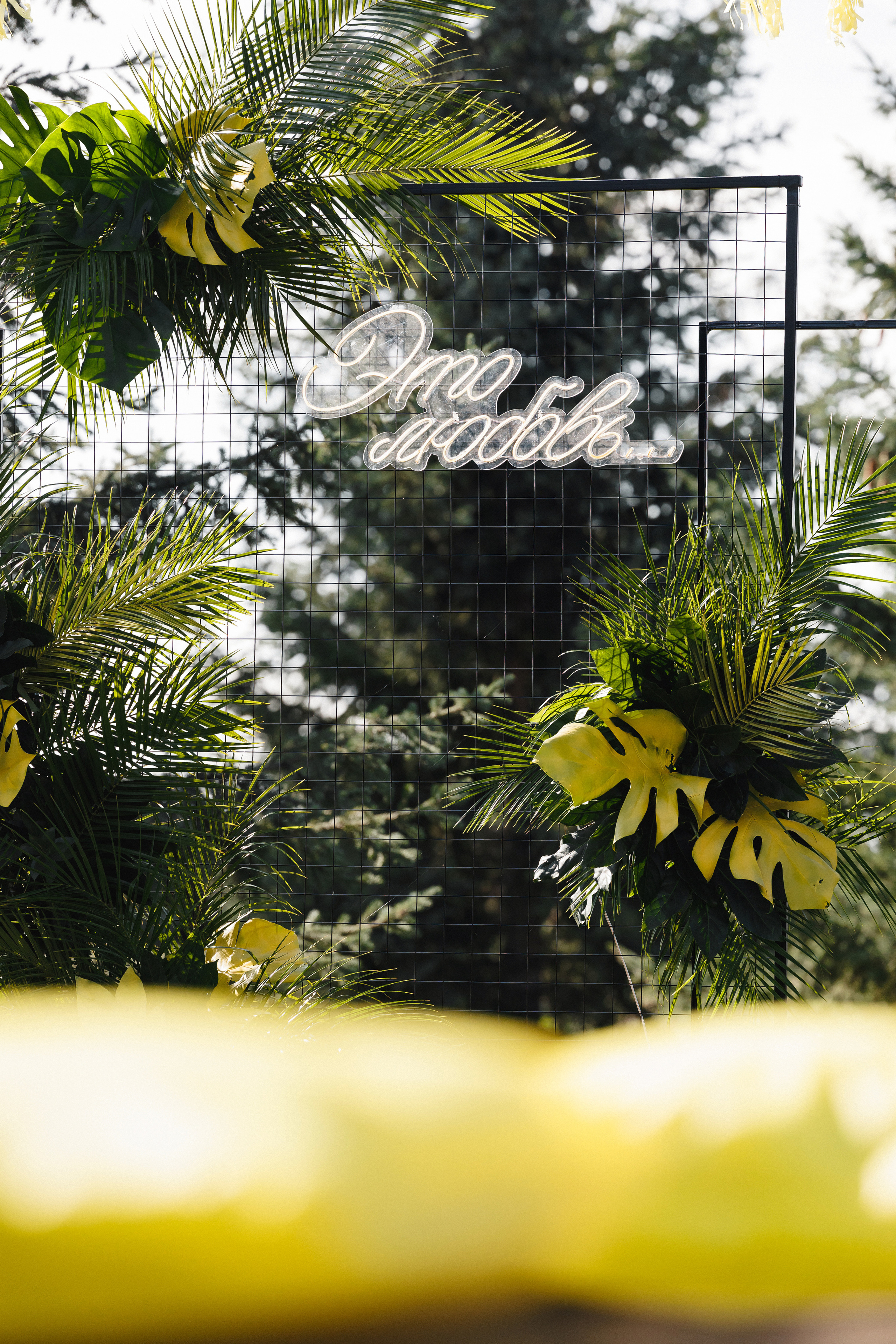 Свадьба-вечеринка. Организатор Романова Любовь