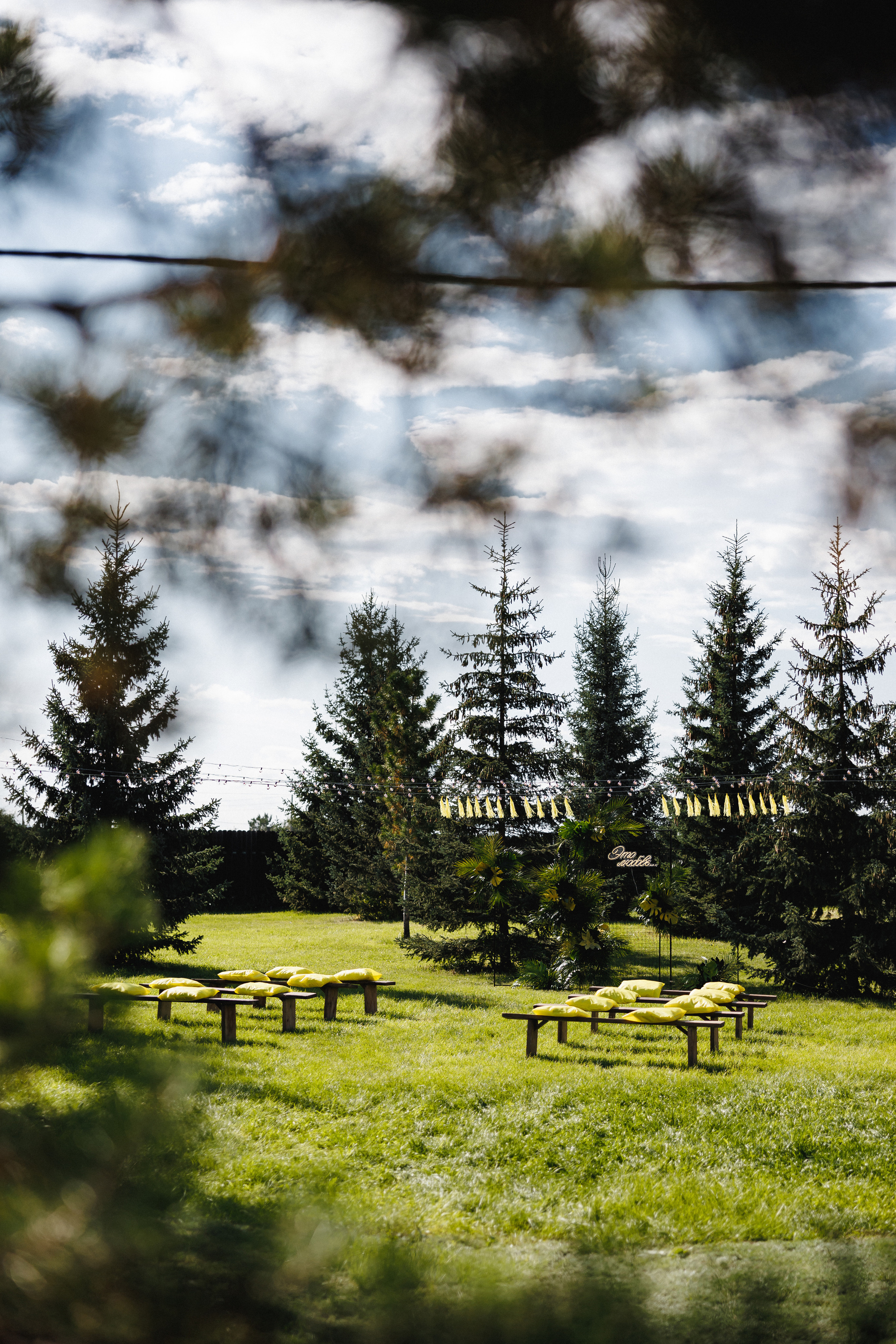 Свадьба-вечеринка. Организатор Романова Любовь