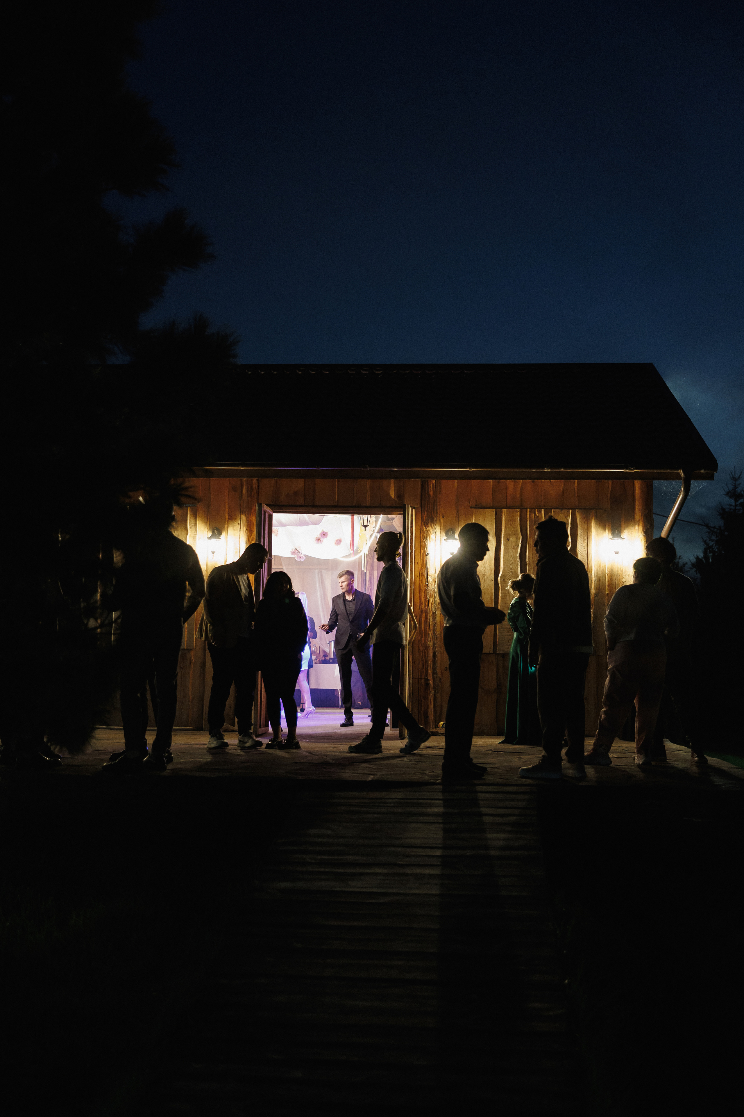 Свадьба-вечеринка. Организатор Романова Любовь