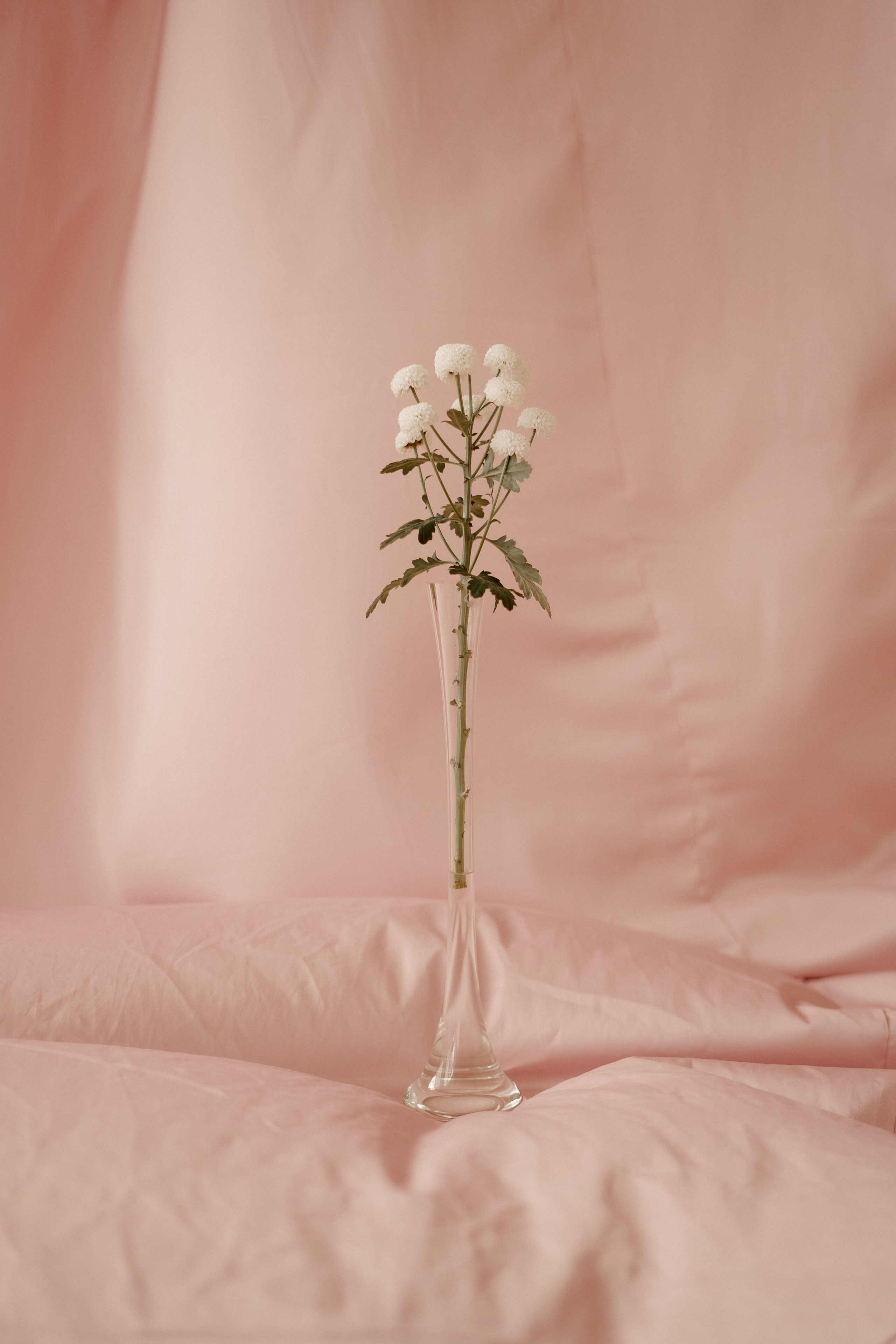 Даша. Фотограф Валерия Крахмалева