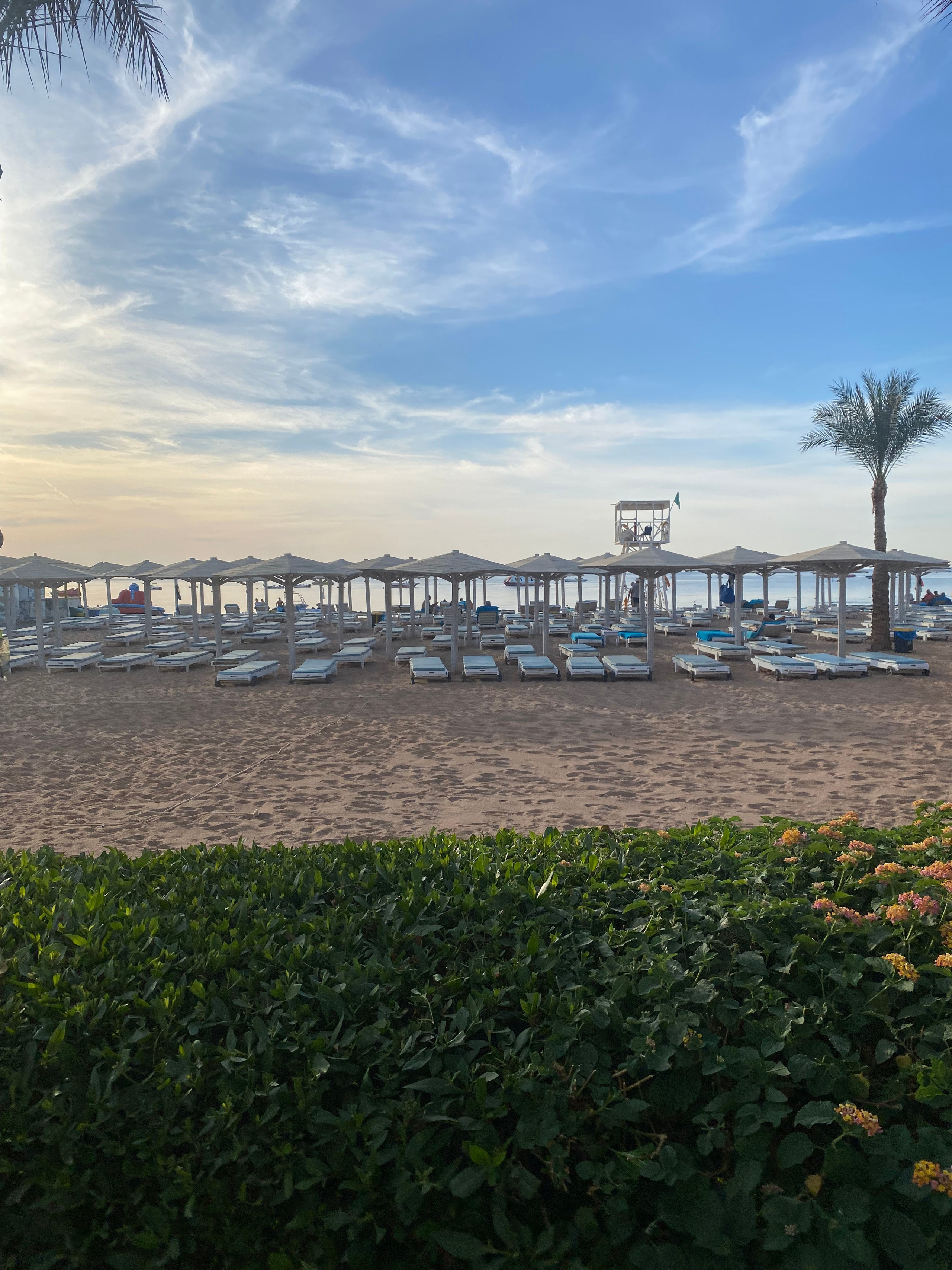 Египет — 21. Своя Мастерская