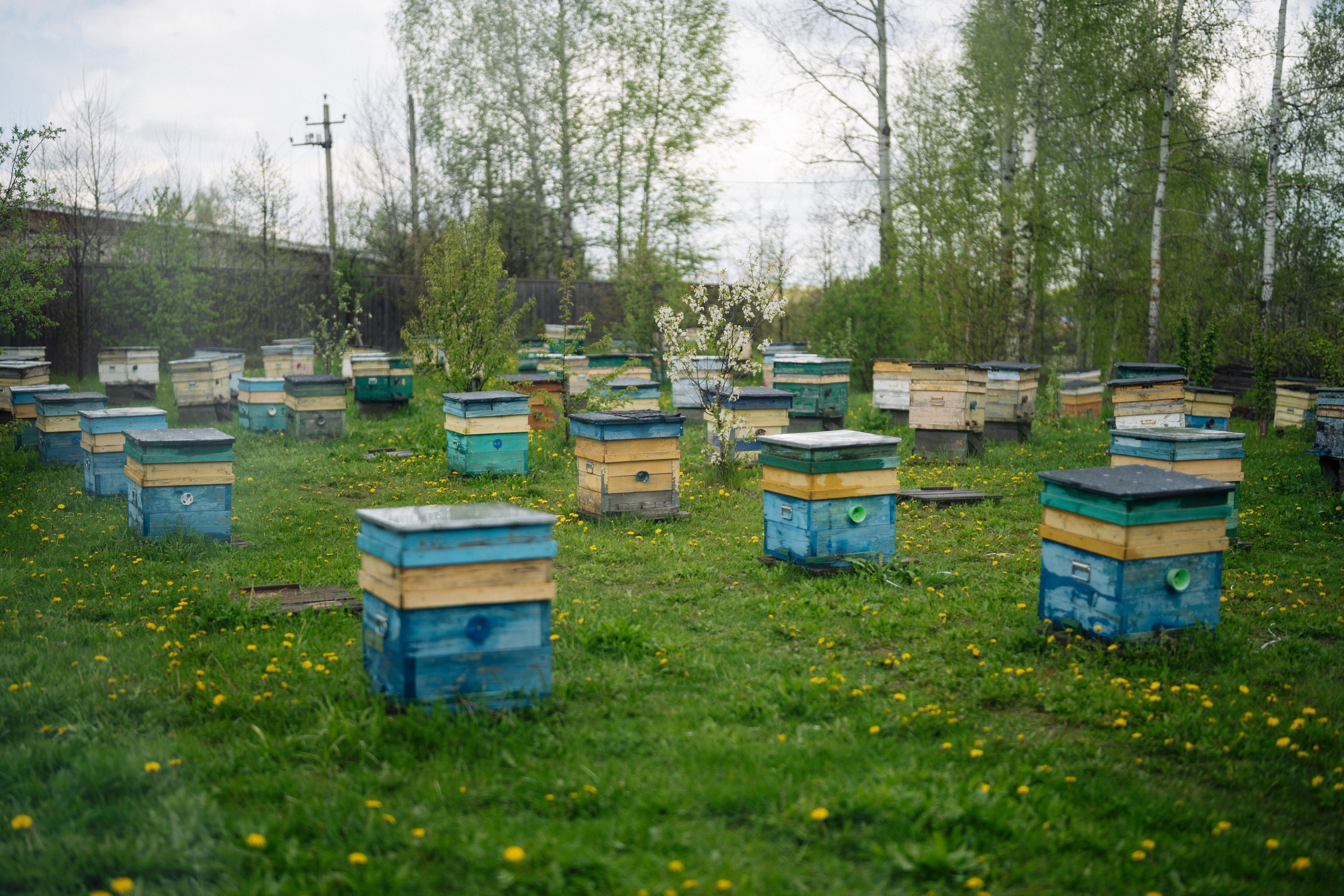 Сюжет № 8|Дмитрий Смирнов