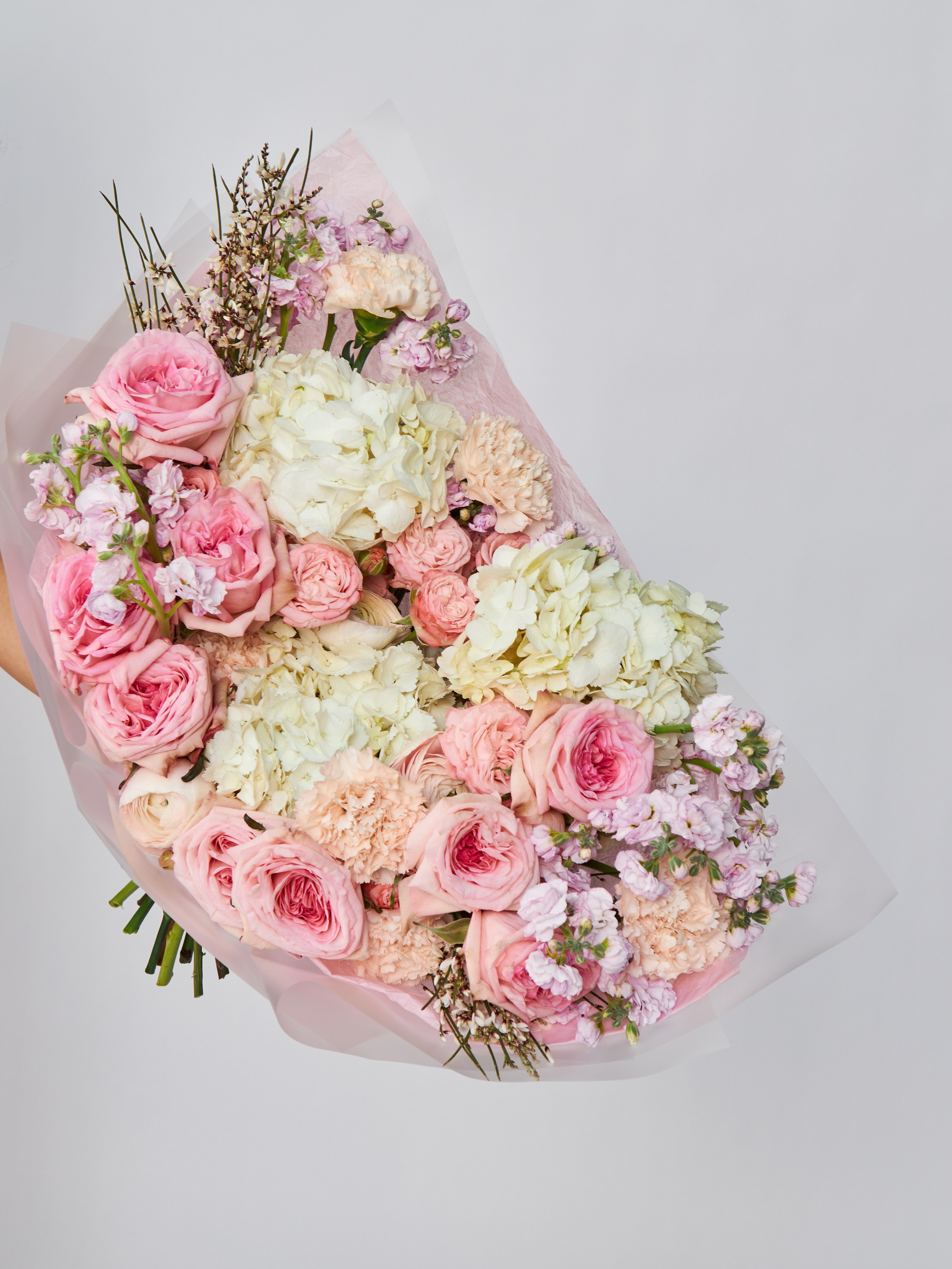 Организация срочной презентационной съемки каталога новой линии одежды для инвесторов или партнеров в Москве