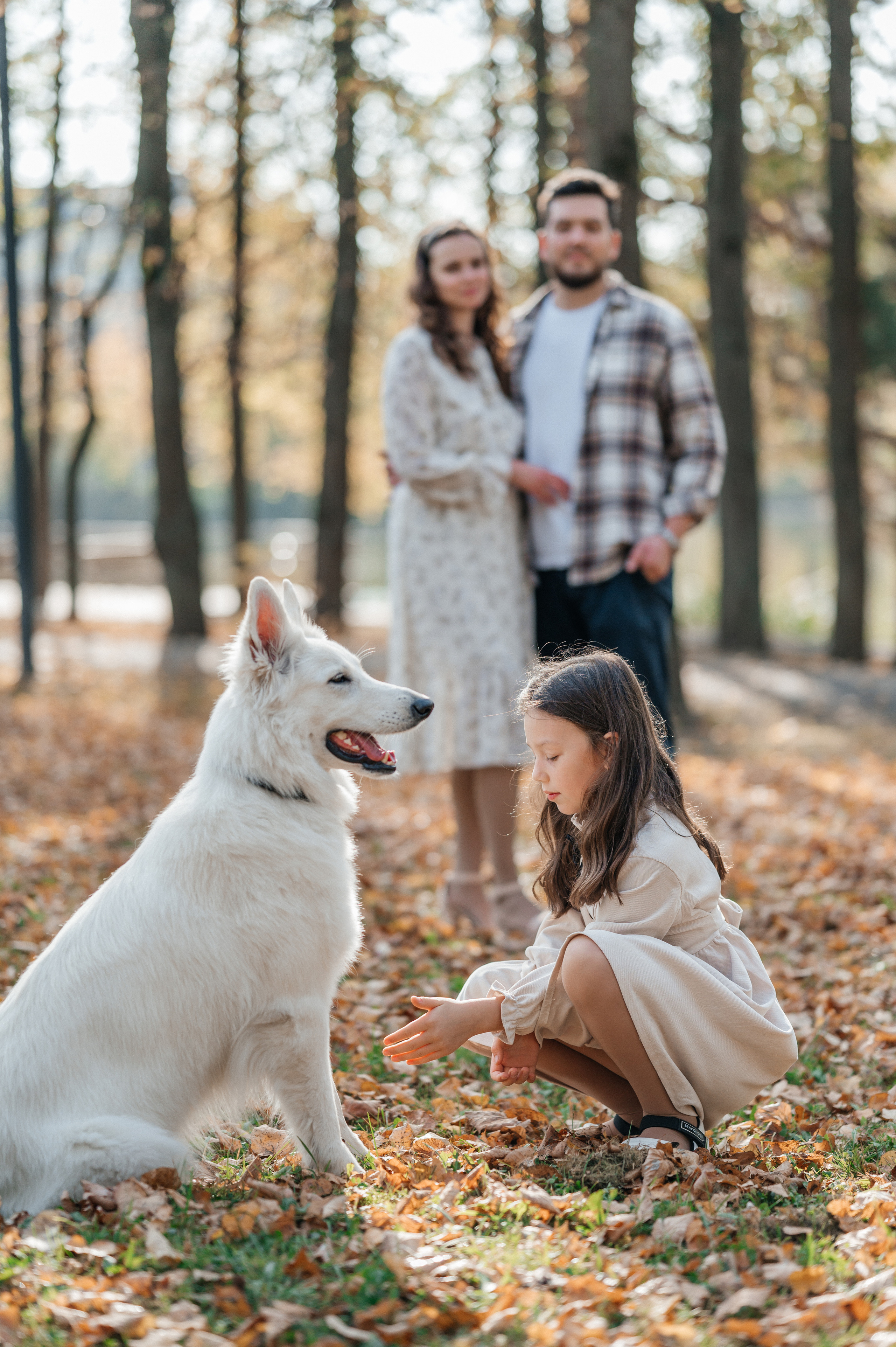 Осенняя прогулка. Фотограф Москва Екатерина Постникова Индивидуальные и семейные съемки