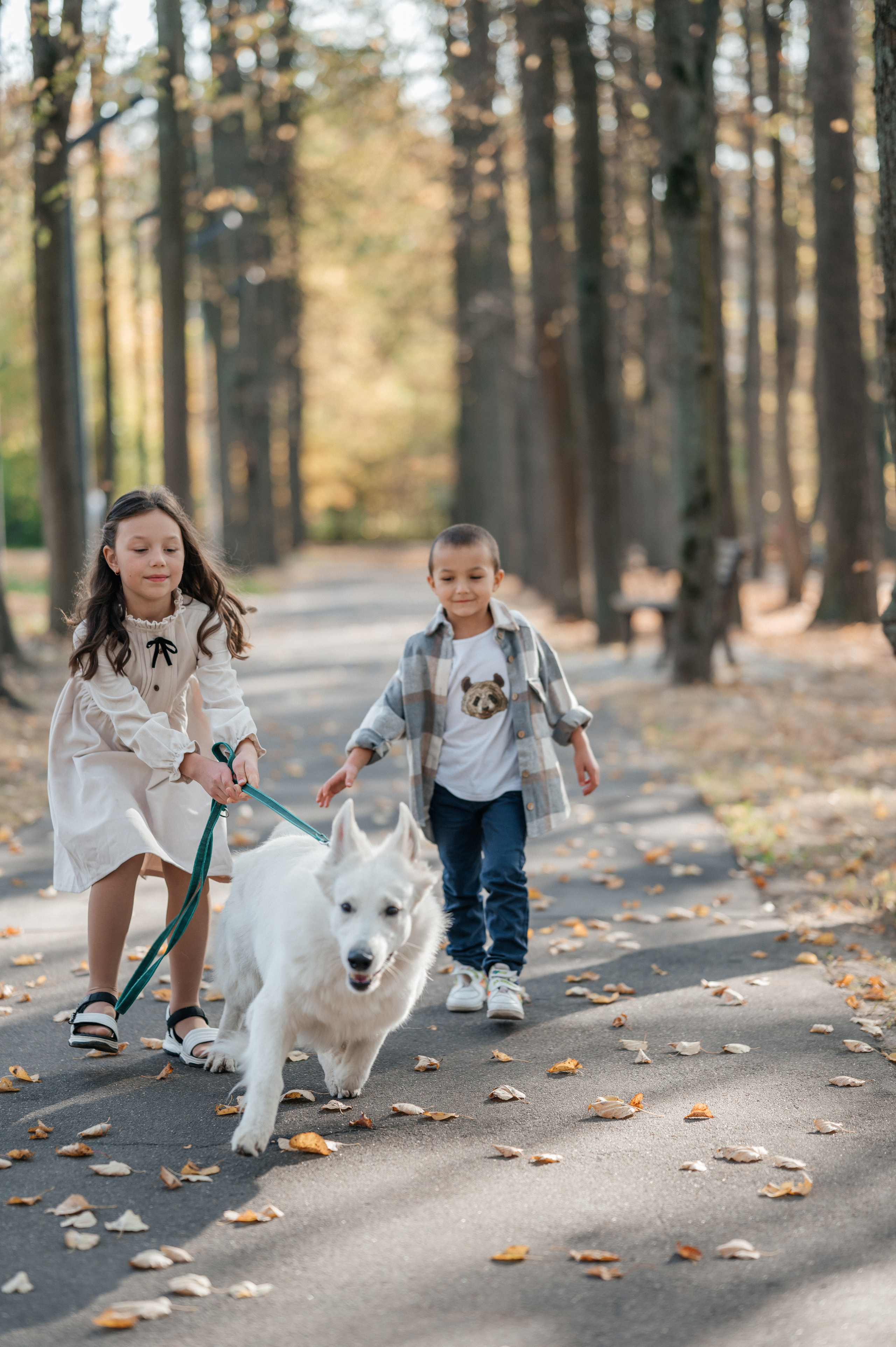 Осенняя прогулка. Фотограф Москва Екатерина Постникова Индивидуальные и семейные съемки
