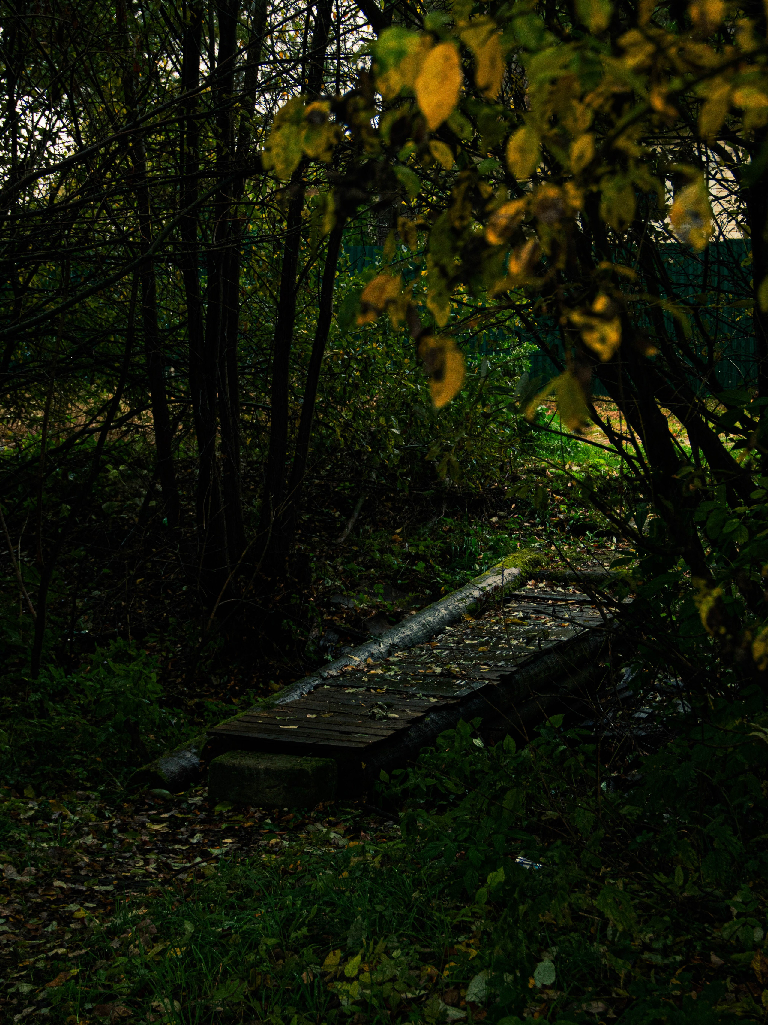 Село Петрилово (28.09.24). «Матрица»