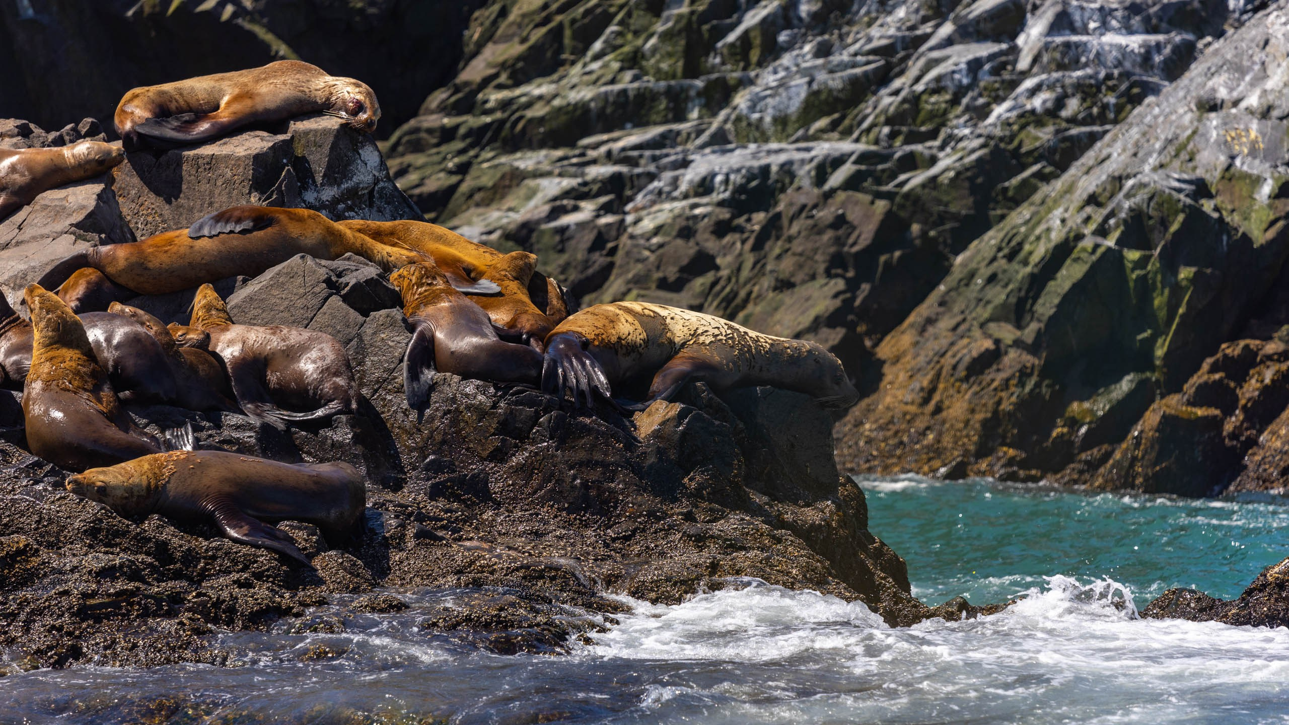 2023 07 Камчатка. Фотографии