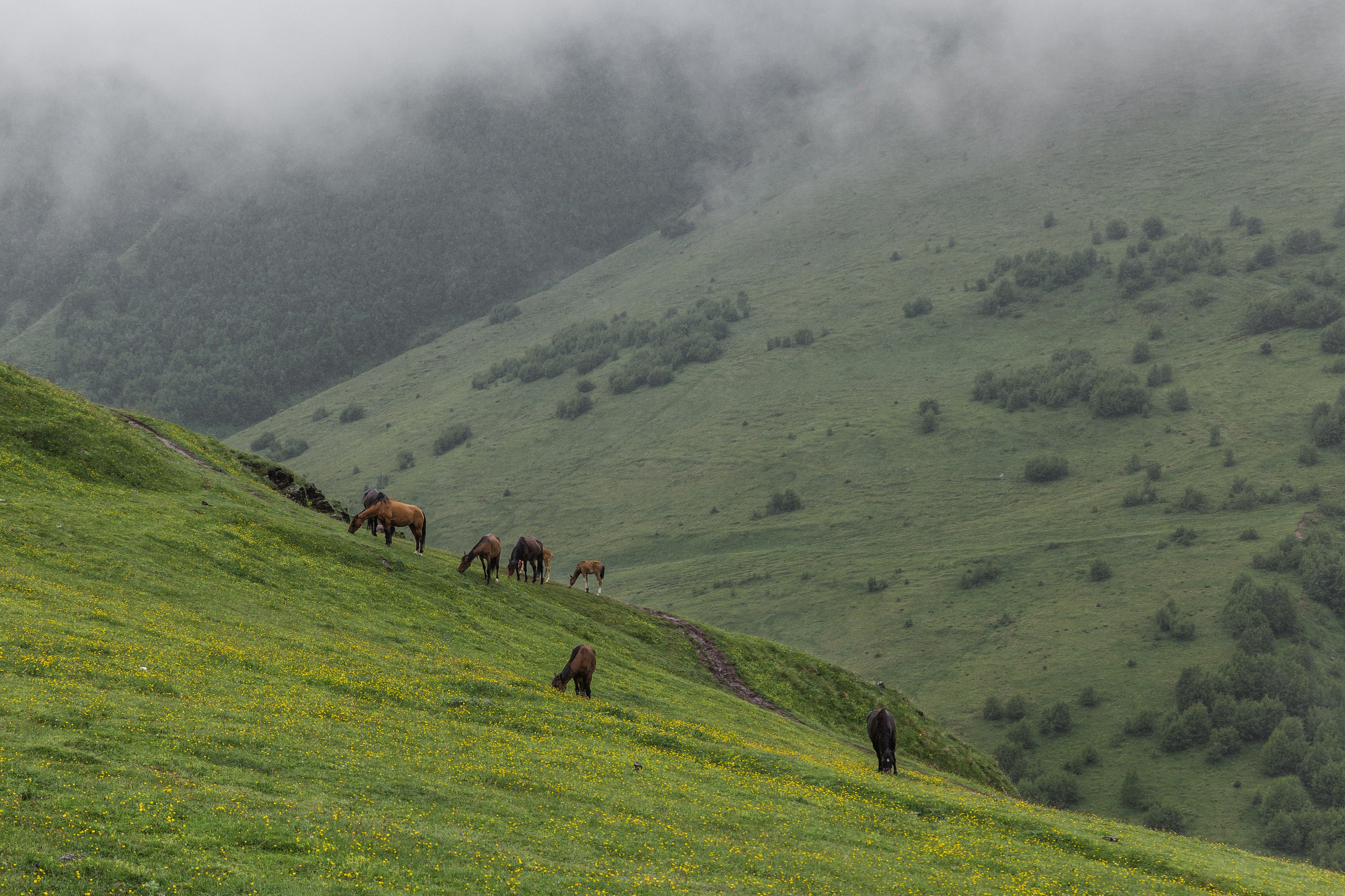 Georgia. Свадебный и семейный фотограф в Краснодаре Роман Моско