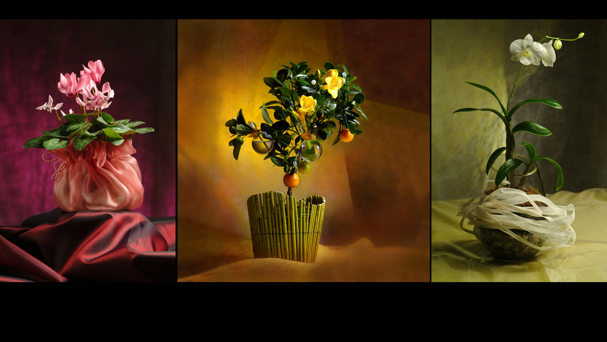 РЕКЛАМНЫЙ ФОТОГРАФ ИЗ МОСКВЫ ВИТАЛИЙ СТЕПАНОВ, FOTOSEP.RU