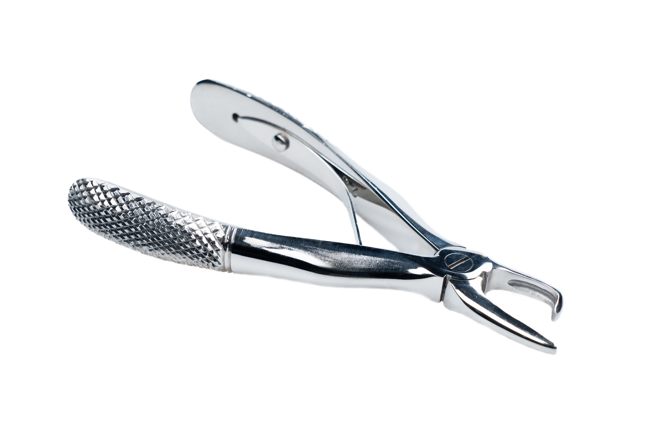 GLOBAL.VET. Репортажный фотограф в Москве Илья Закурин