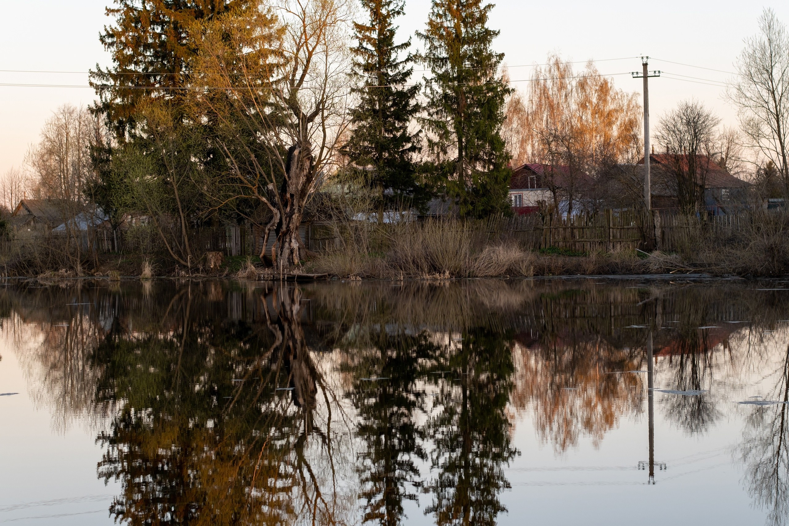 Село Васильевское. Фотограф в Москве Максим Скоробогатов